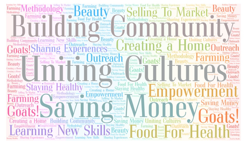 Word Cloud of concepts identified by the PhotoVoice process and community response to the exhibit.