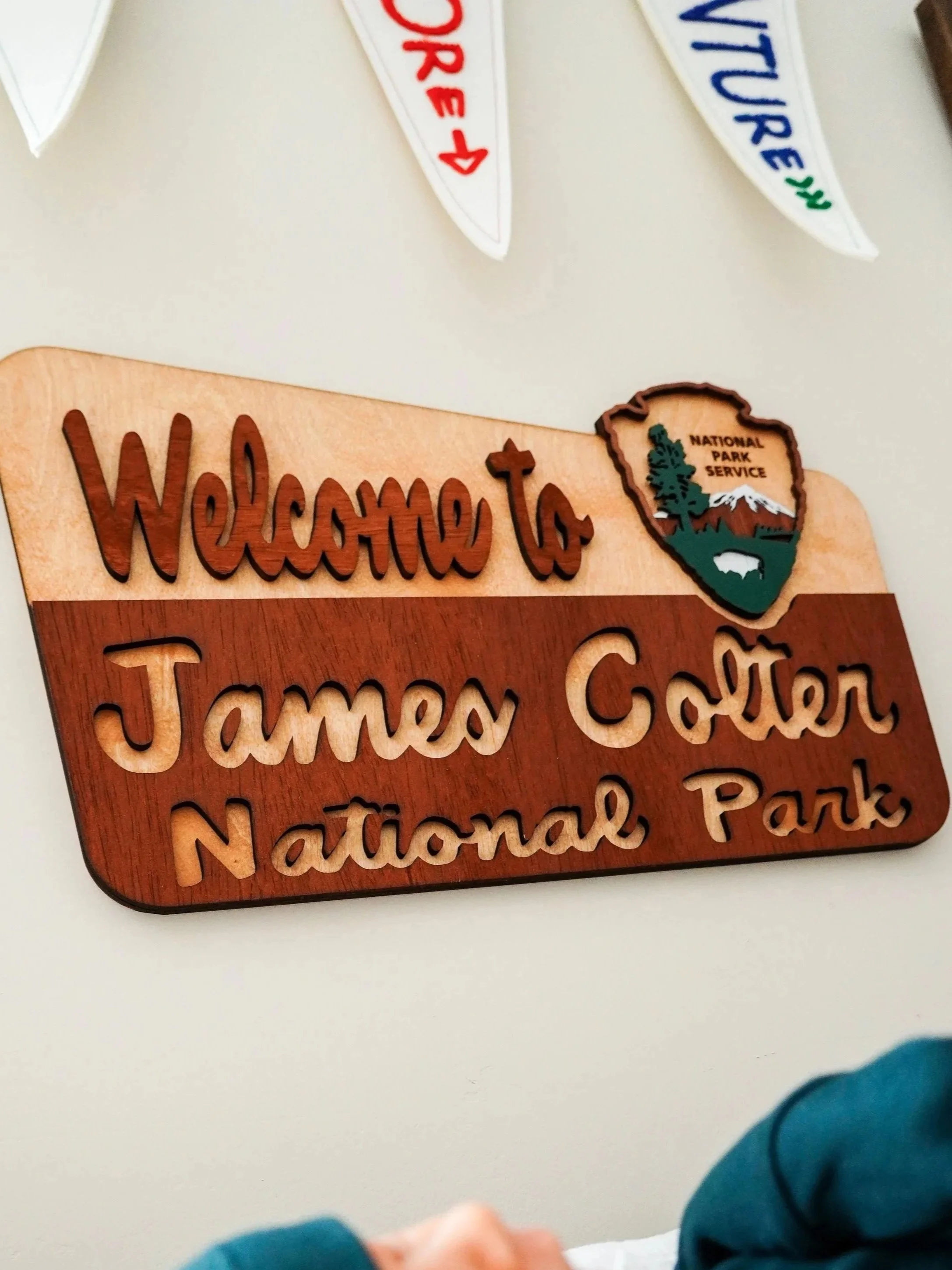 A nursery decorated with a national park theme in Syracuse New York