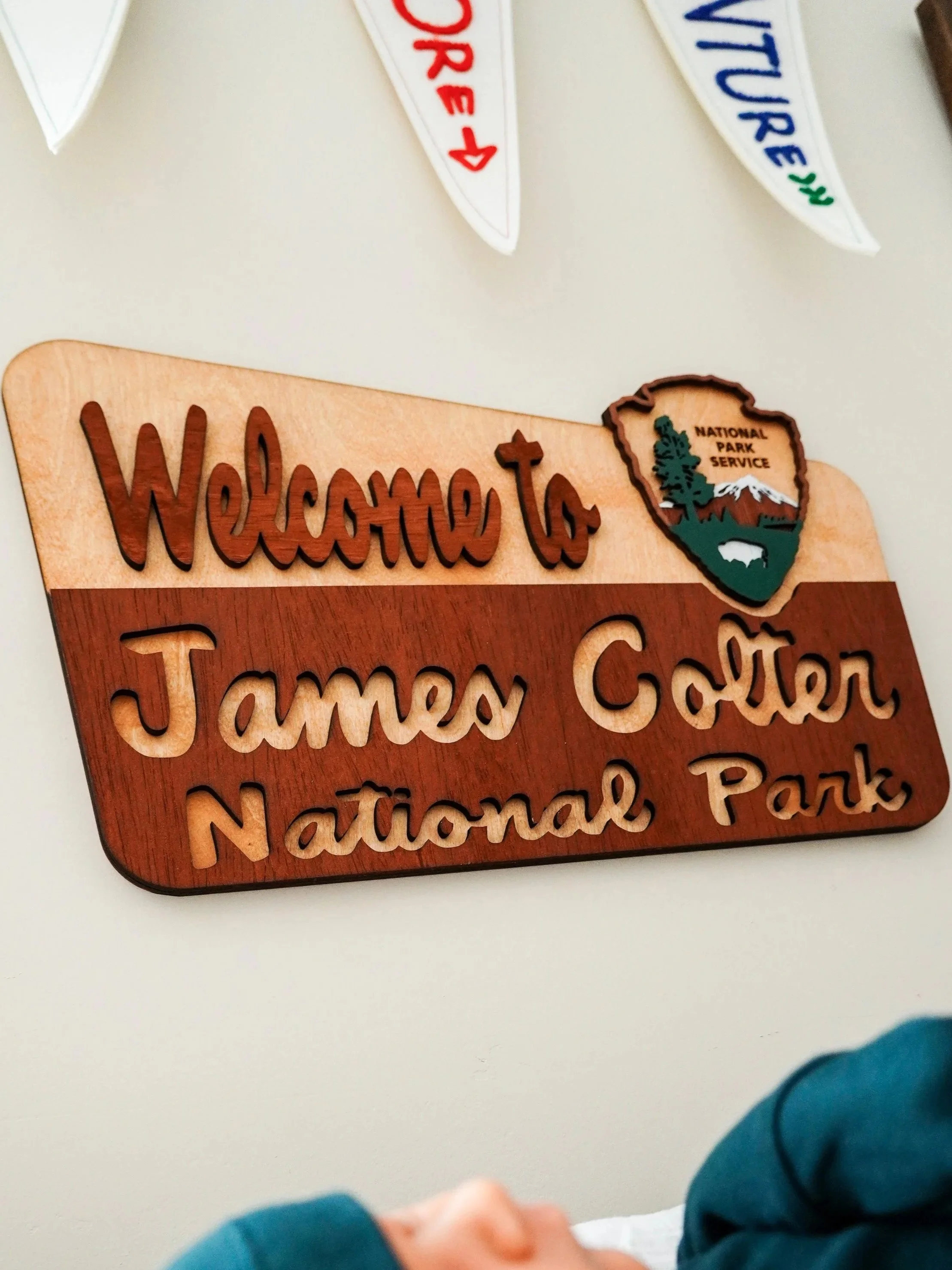 A nursery decorated with a national park theme in Syracuse New York