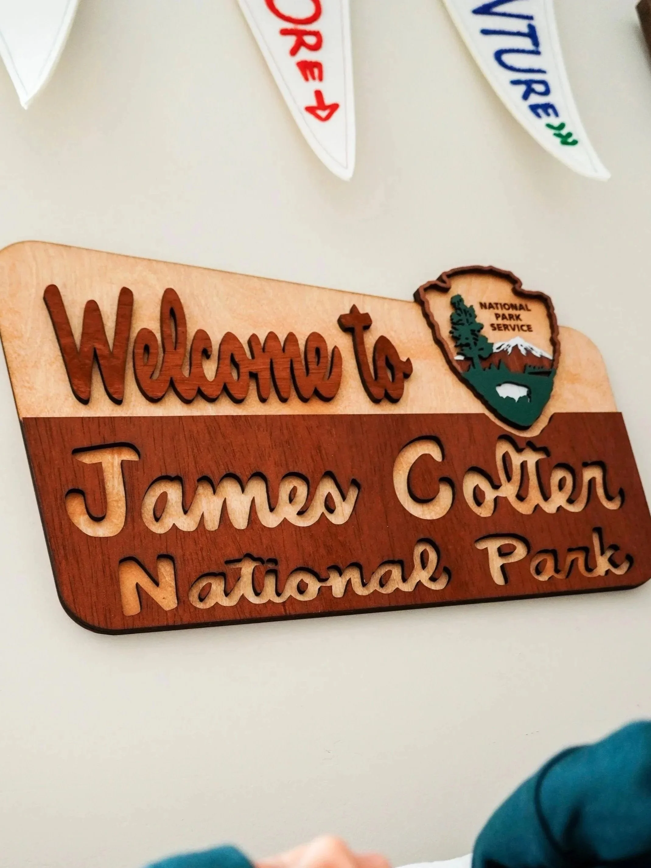 A nursery decorated with a national park theme in Syracuse New York