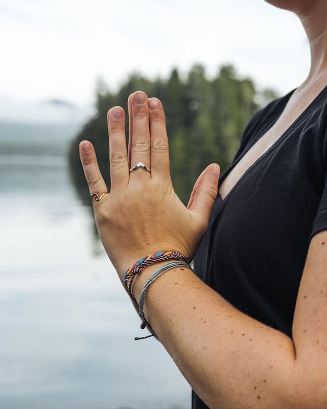 We're 15 days in to #invest31 and feeling really inspired by everyone who has joined us for this journey. Active participants and motivating supporters are all included in this! Whether you tag us in your daily Instagram posts, email us to share your