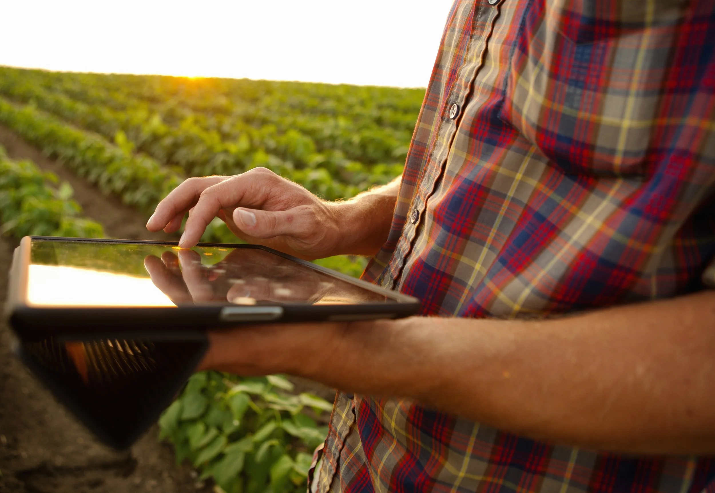 LW-Farming-iPad.jpg
