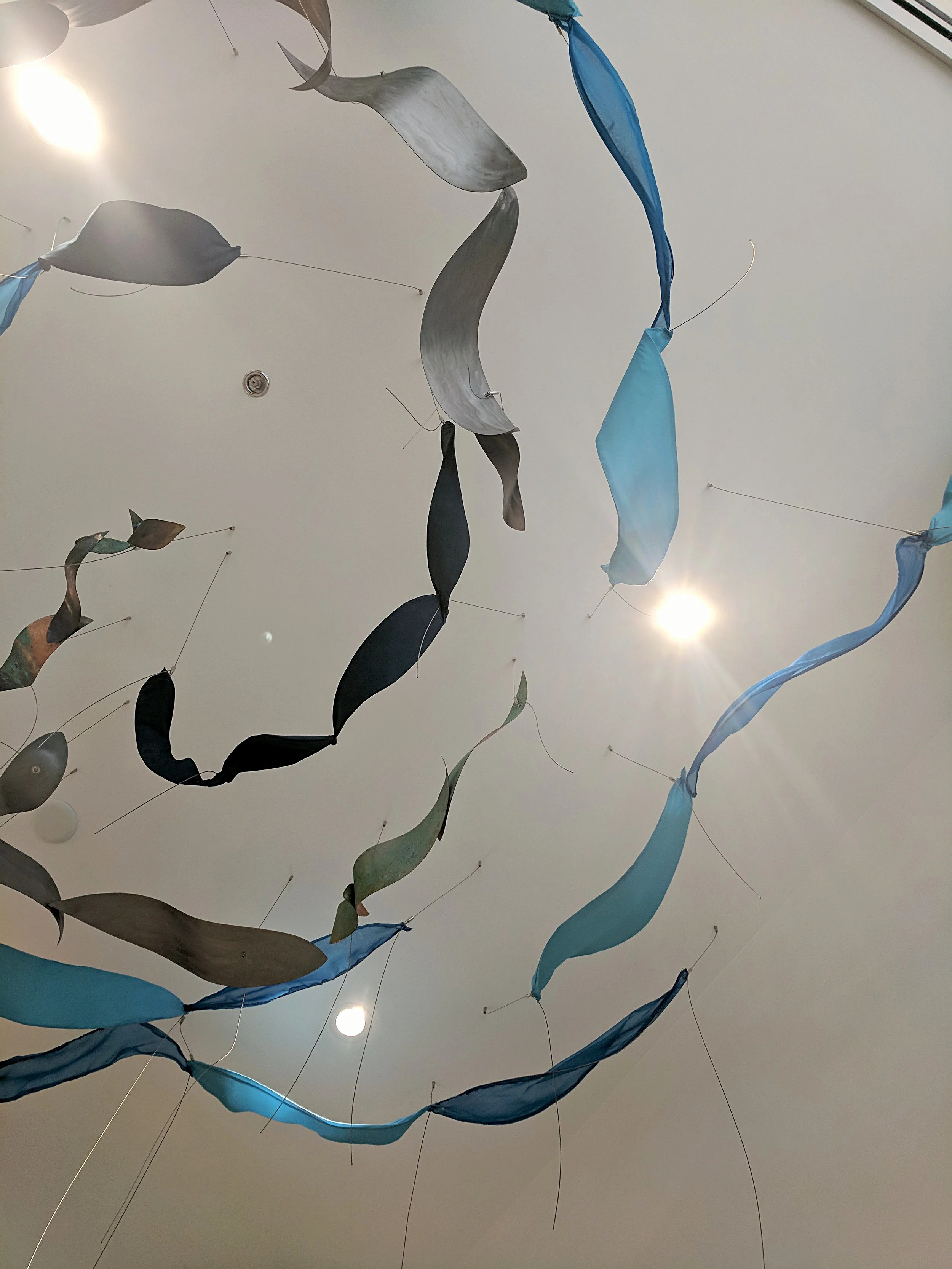 IMG_20180510_155503.jpg