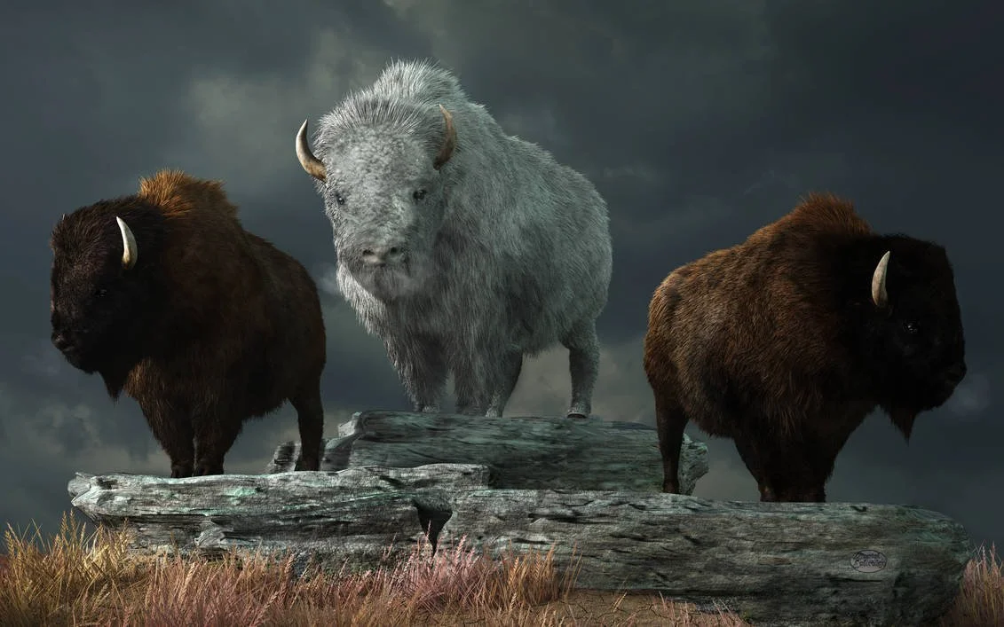 White Buffalo Medicine Retreat - Live in North Carolina
