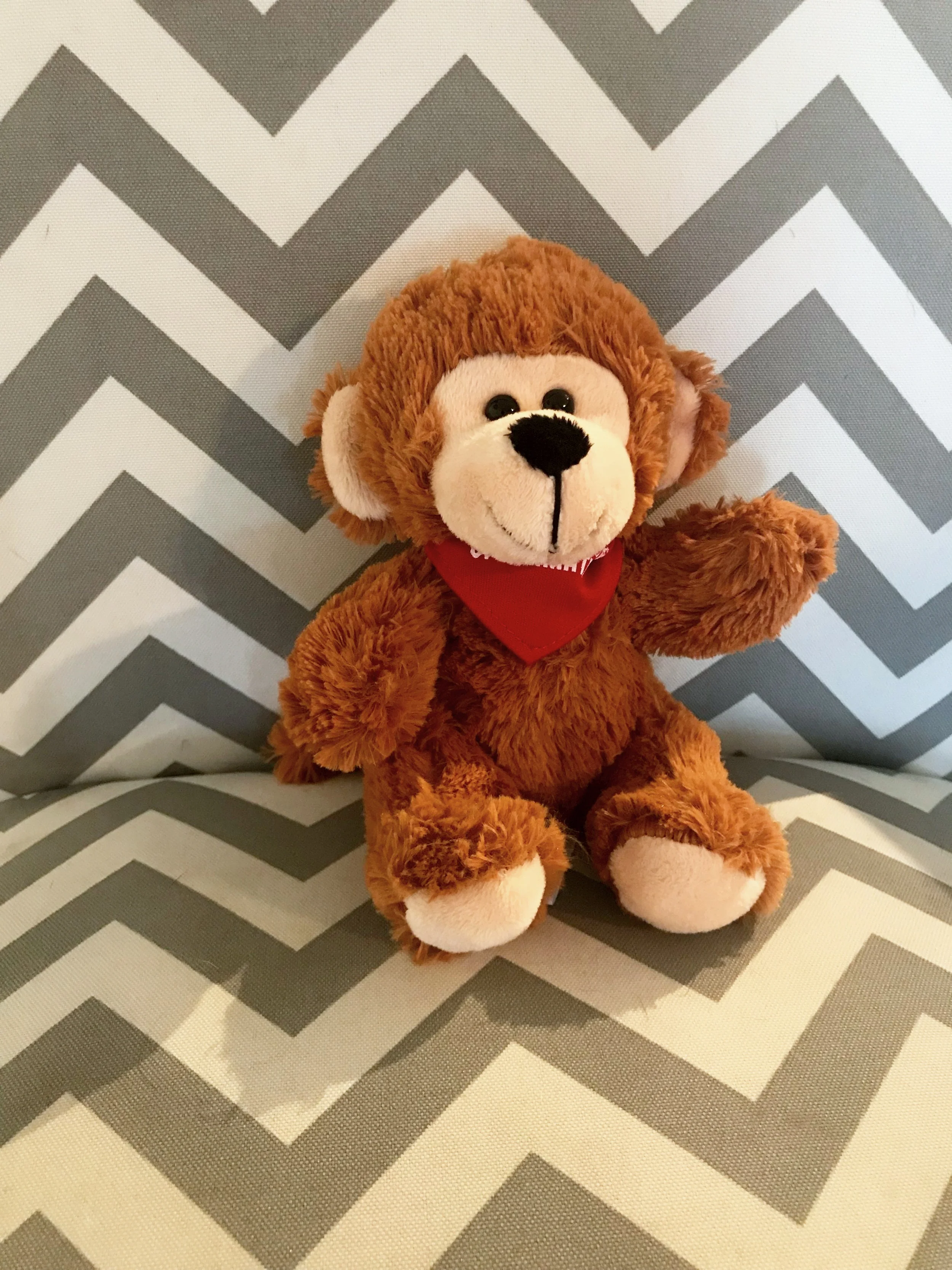 Primate Stuffy
