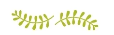 HOPE Works - Fall Mailing 2018.jpg