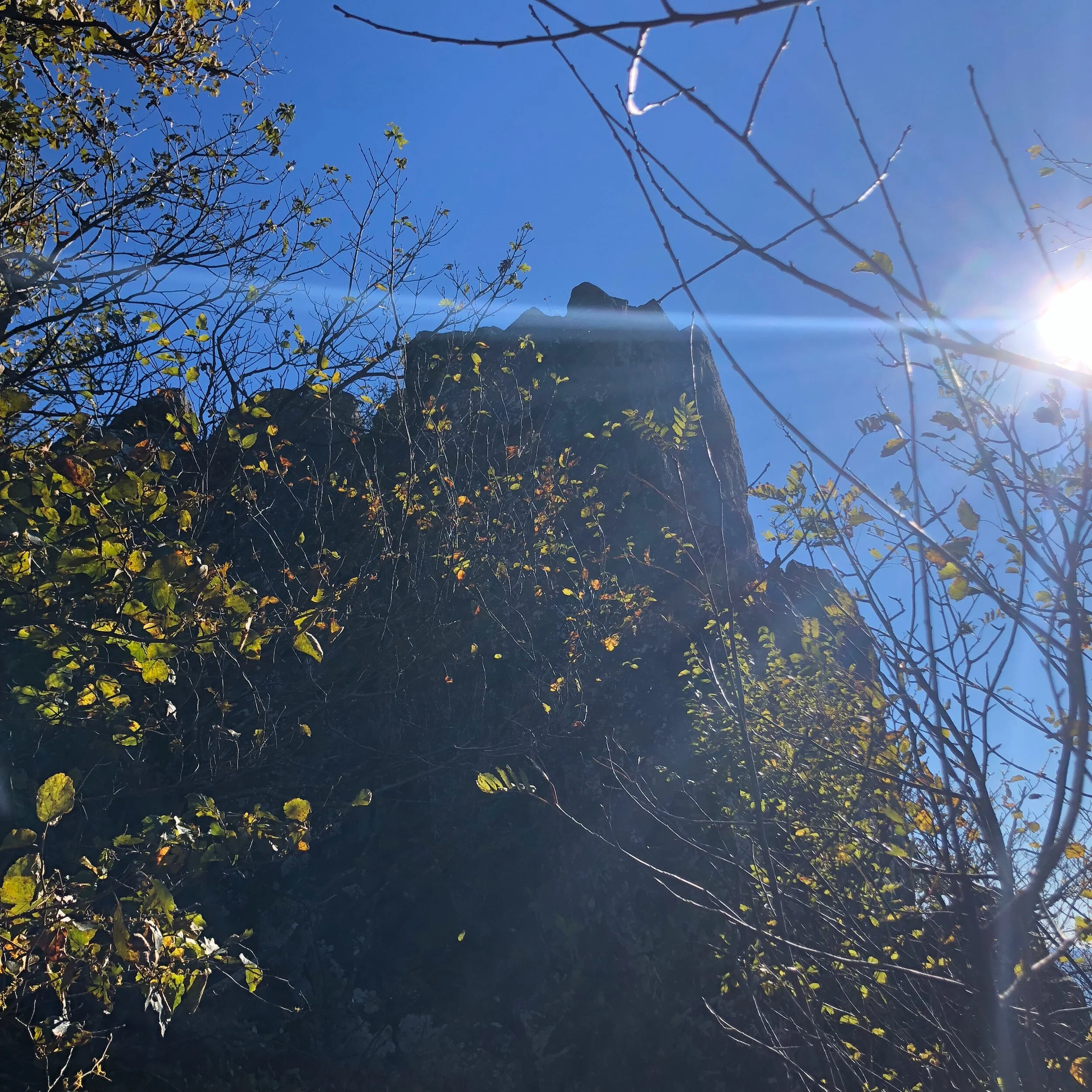 Breathing in the Crisp Mountain Air