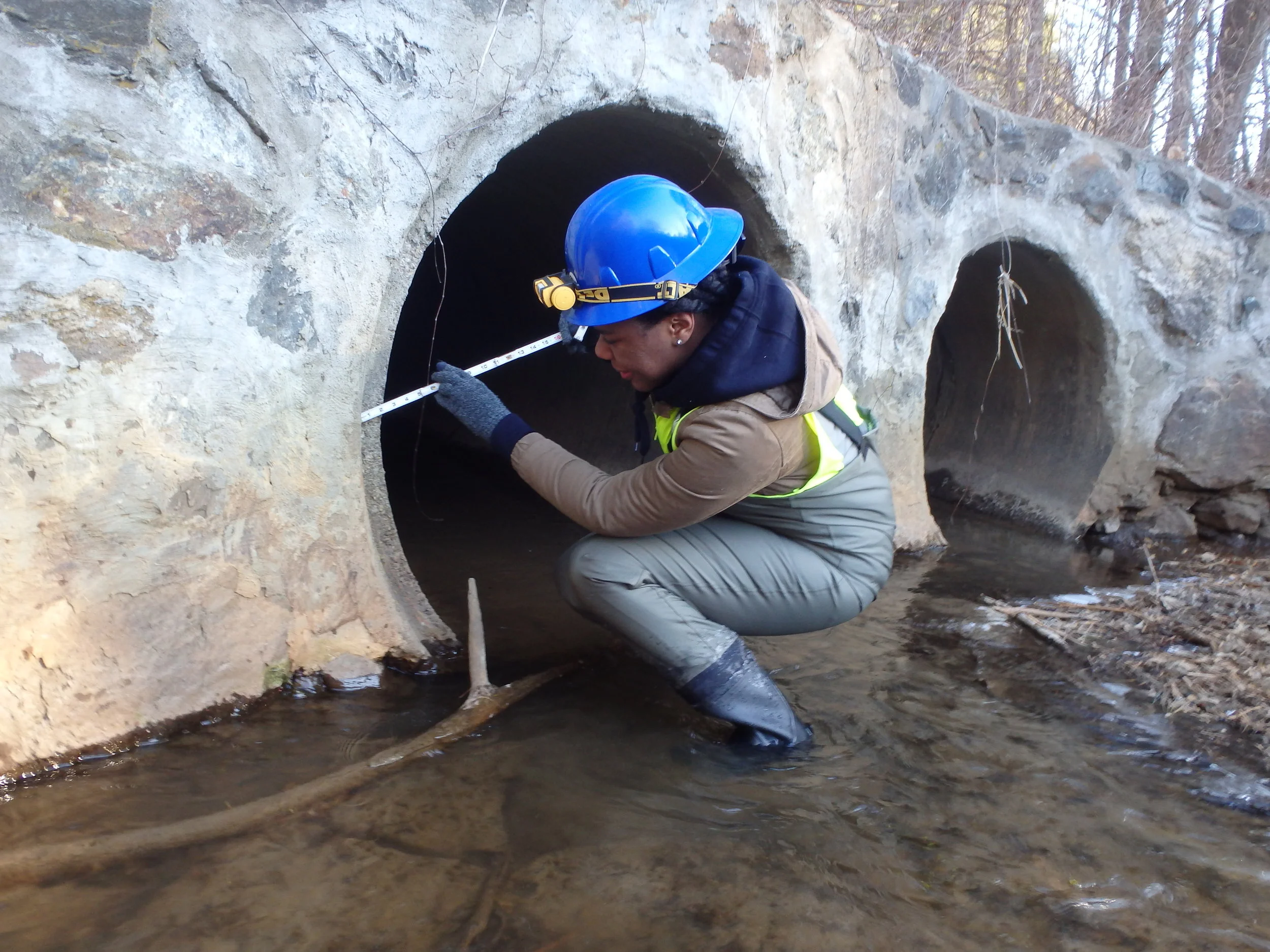M06006_inspection.JPG