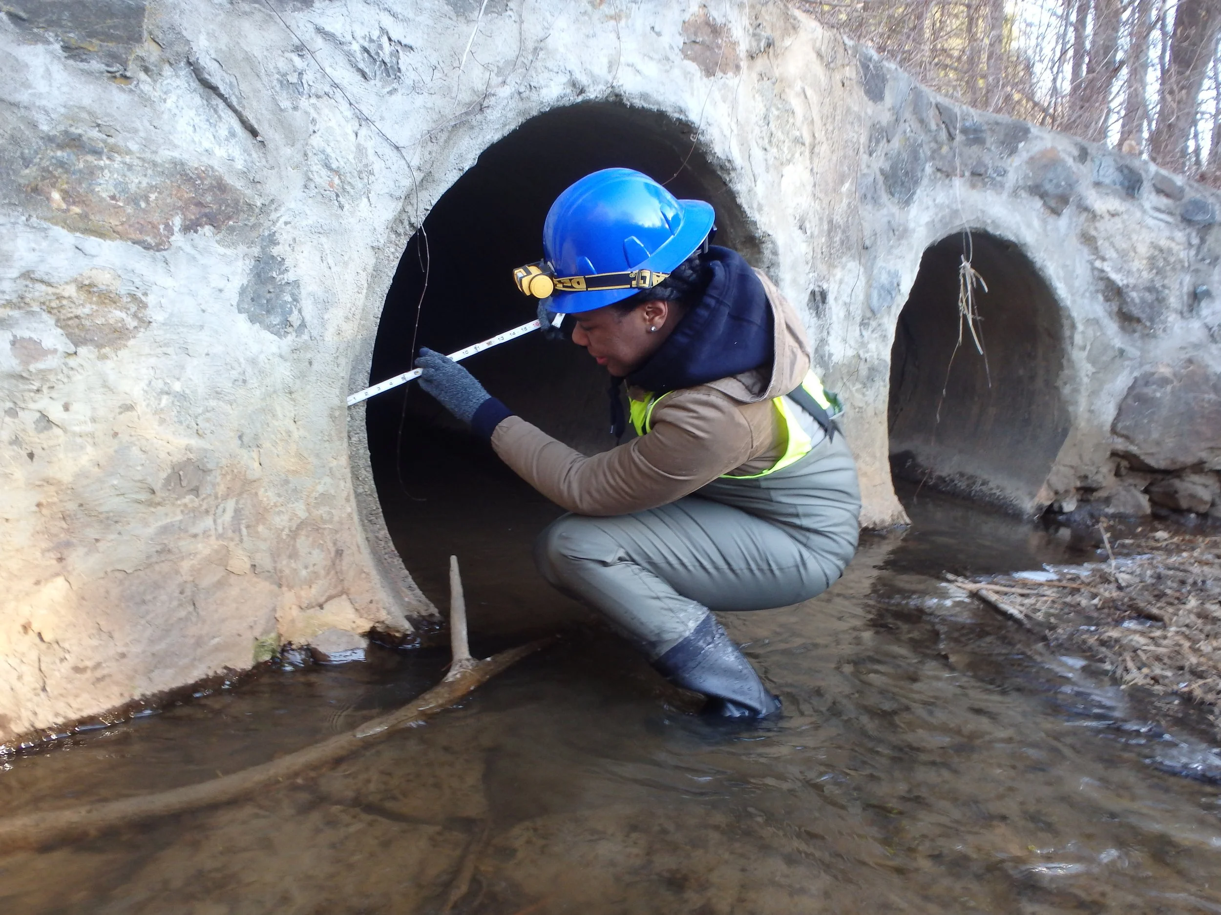 M06006_inspection.JPG