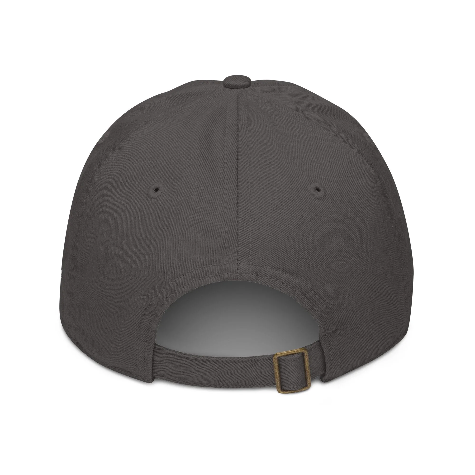 organic-baseball-cap-charcoal-back-6a3b23d9616a8.jpg