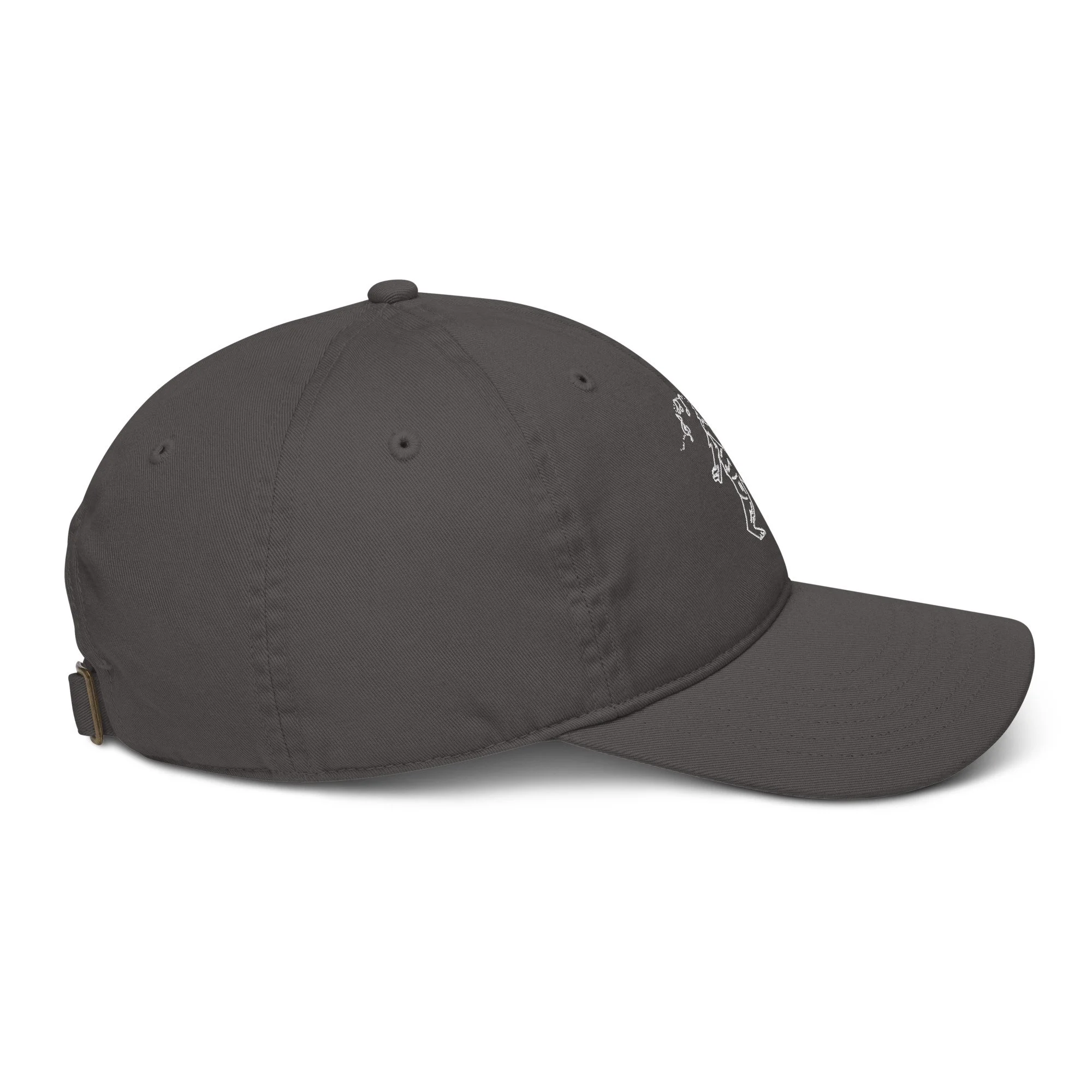 organic-baseball-cap-charcoal-right-6a3b23d96193c.jpg
