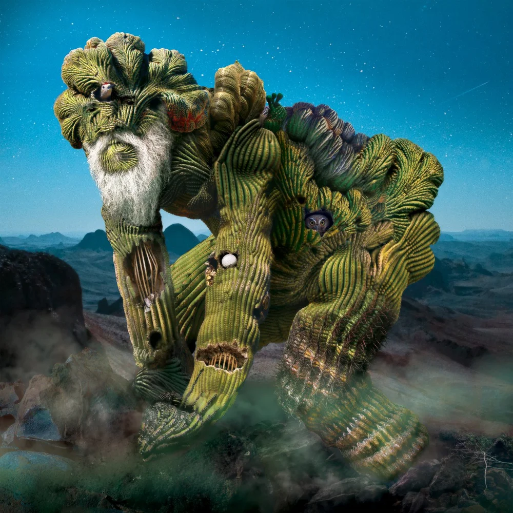 19 SK Sonoran Sandman.jpeg