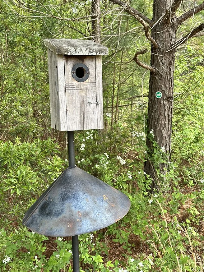 bluebird box.jpg