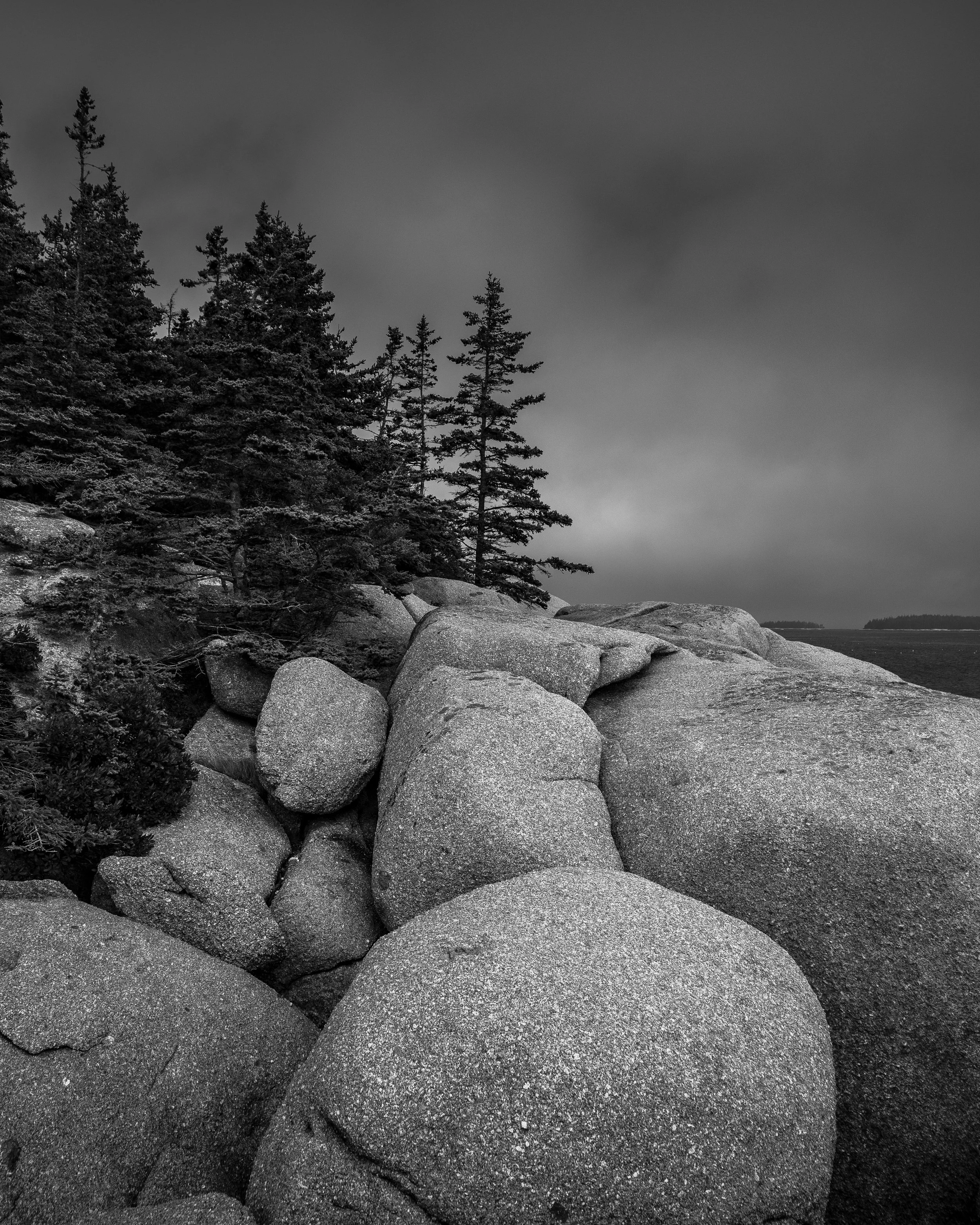DSC_0220.jpg
