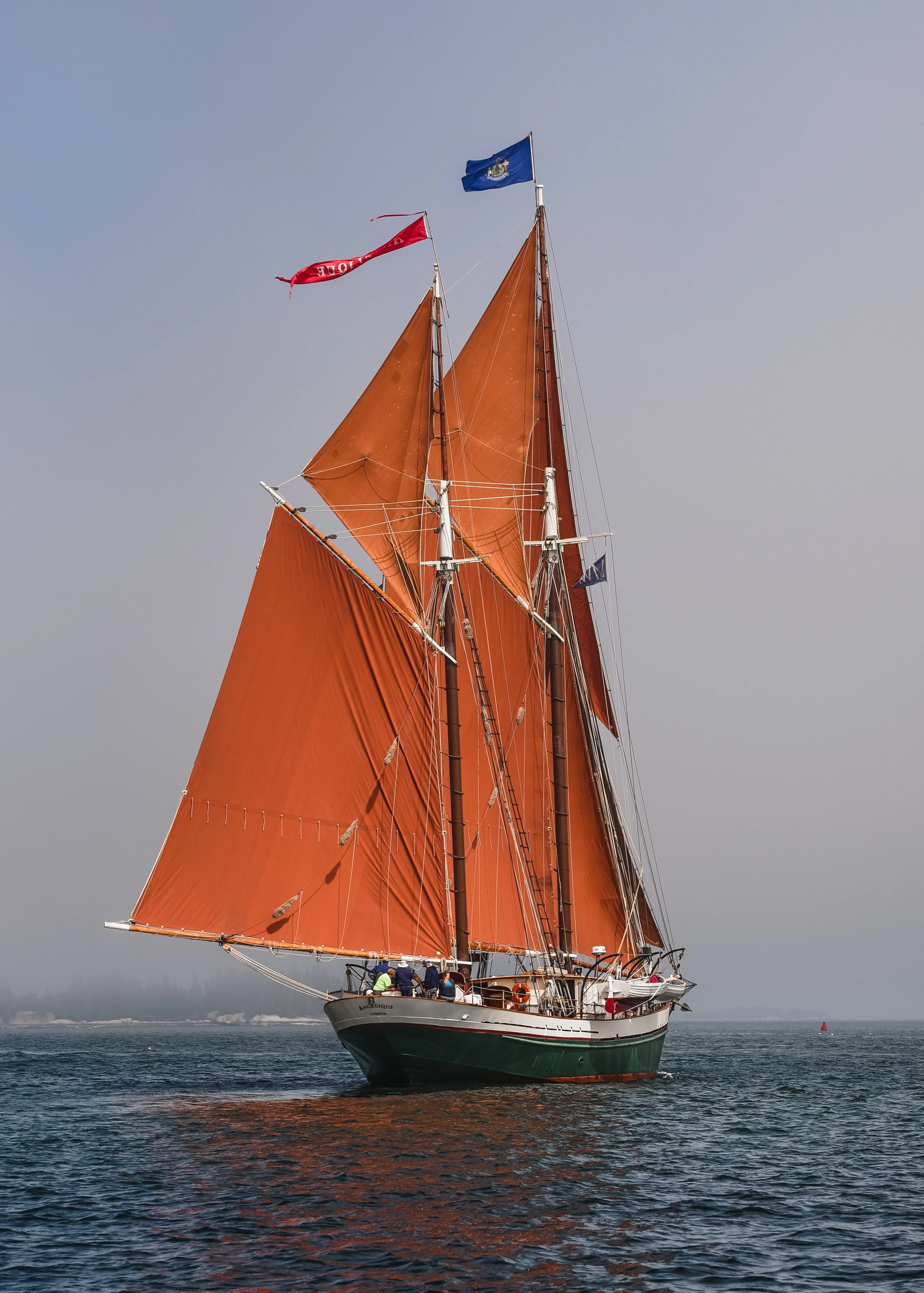 DSC_0306-1.jpg