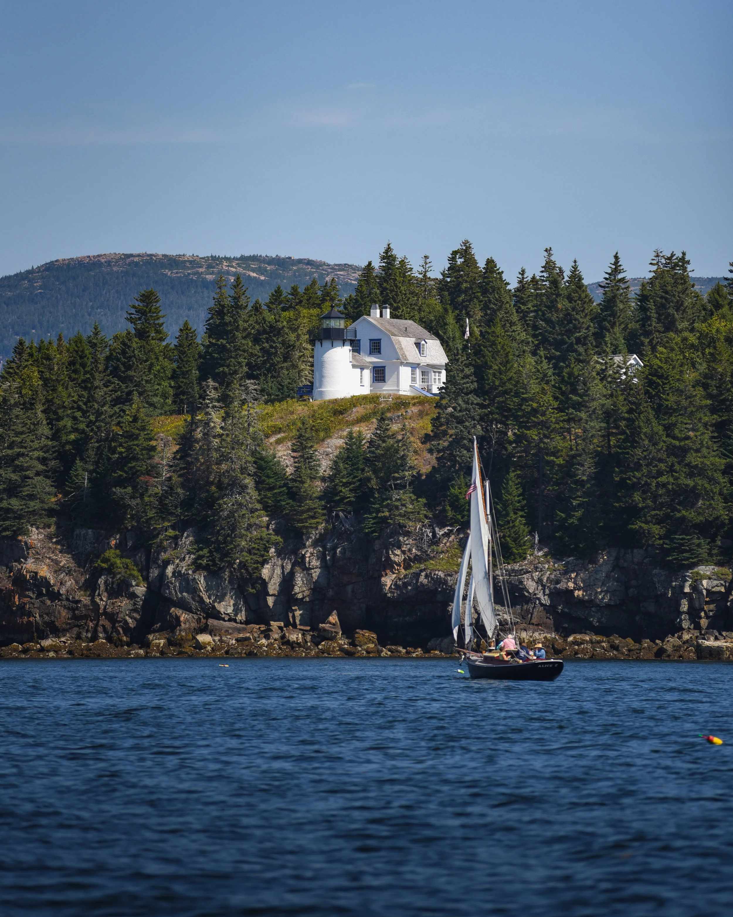 DSC_0092.jpg