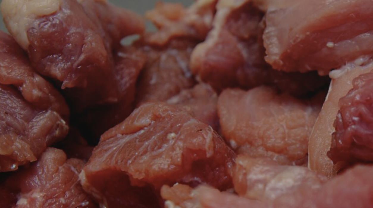 Rewilding the Kitchen: An Interview | Image Journal