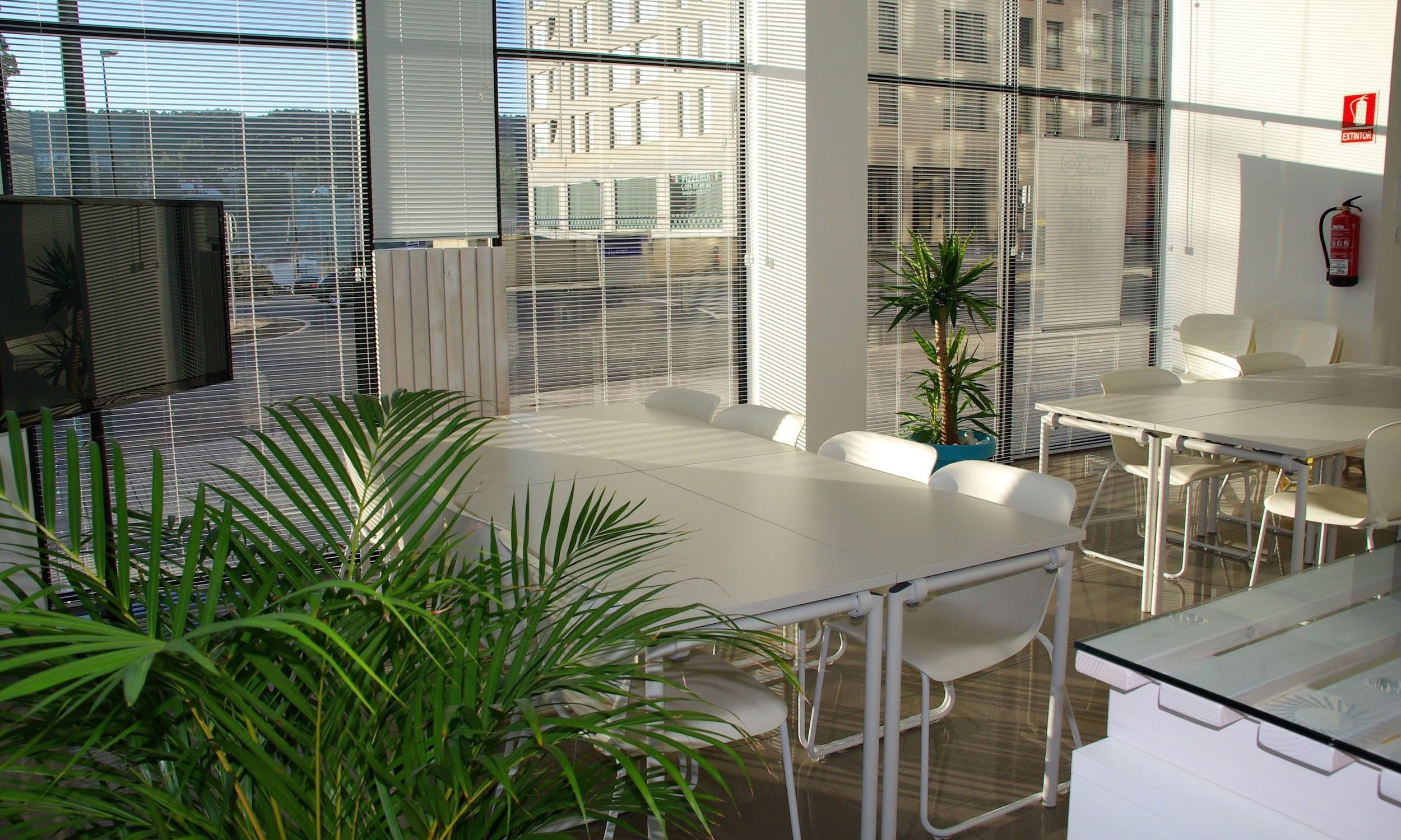 apartment-architecture-business-221537.jpg