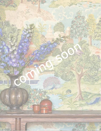 coming_soon_peacock.jpg
