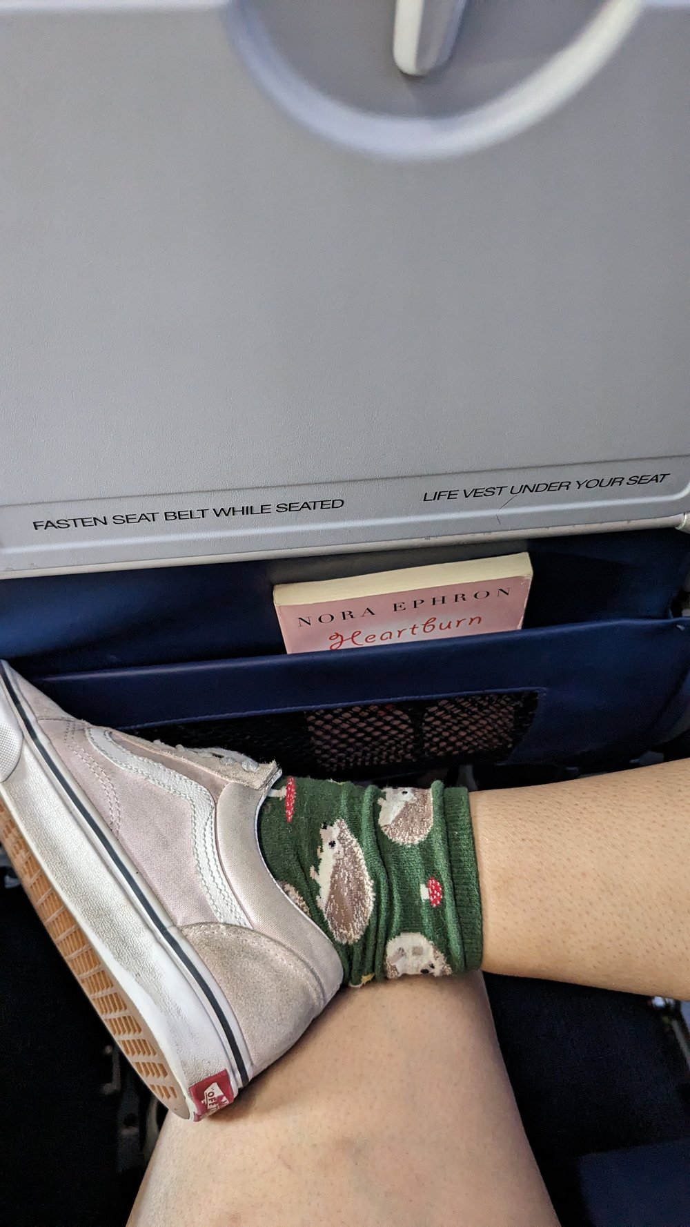 flight_heartburn_nora_ephron_airlines_traveler_vans_girlie.jpg