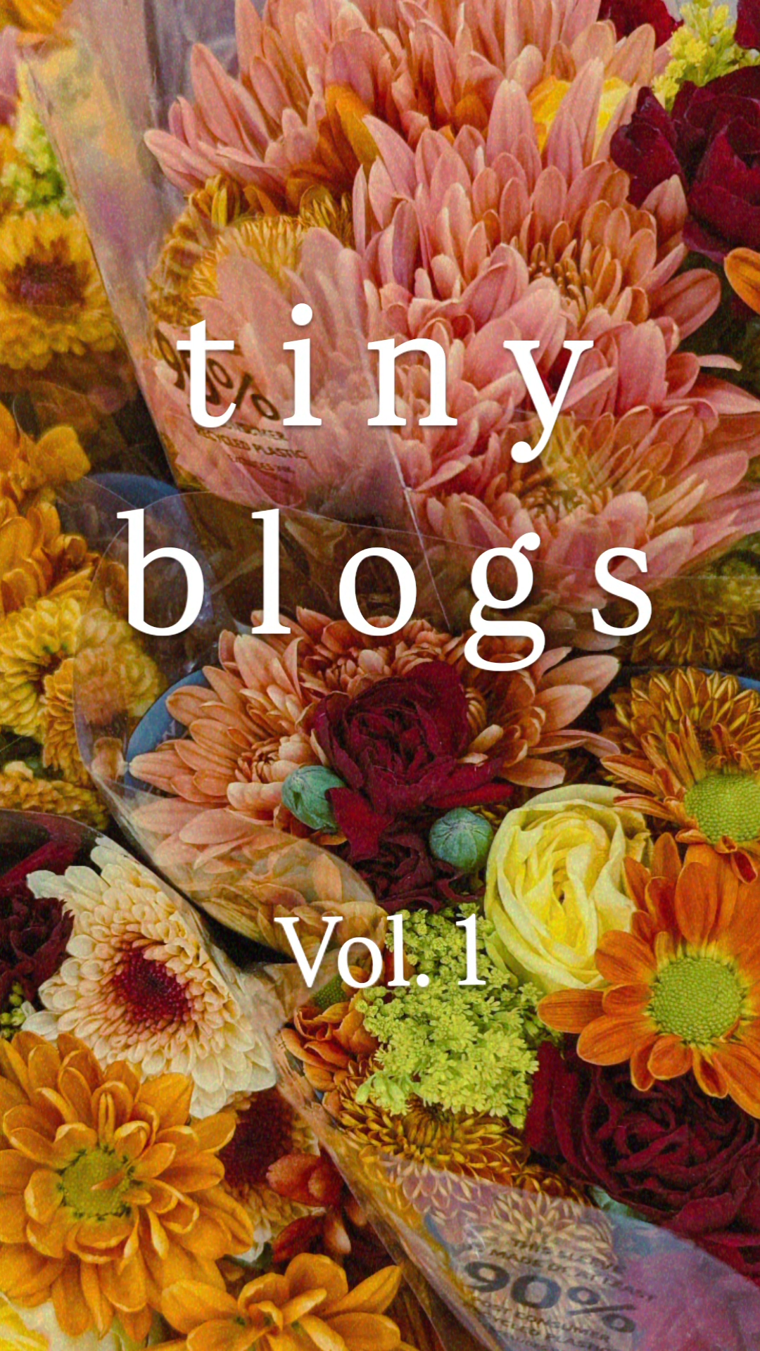 Tiny Blogs (volume 1)