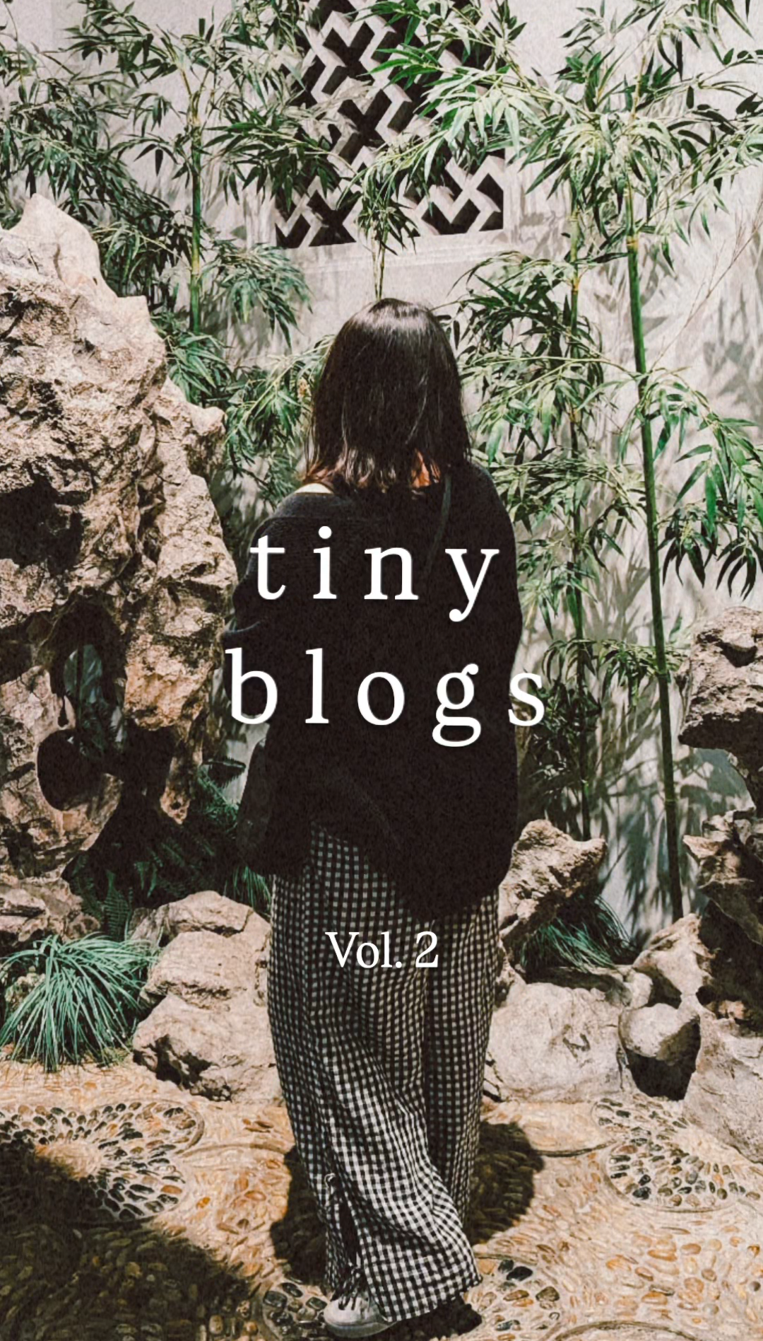 Tiny Blogs (Volume 2): Art Museum twice in one week