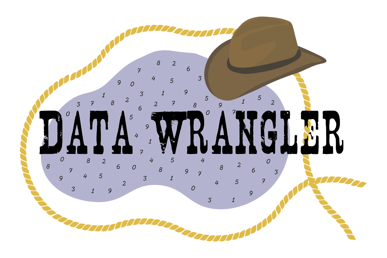Data Wrangler.png
