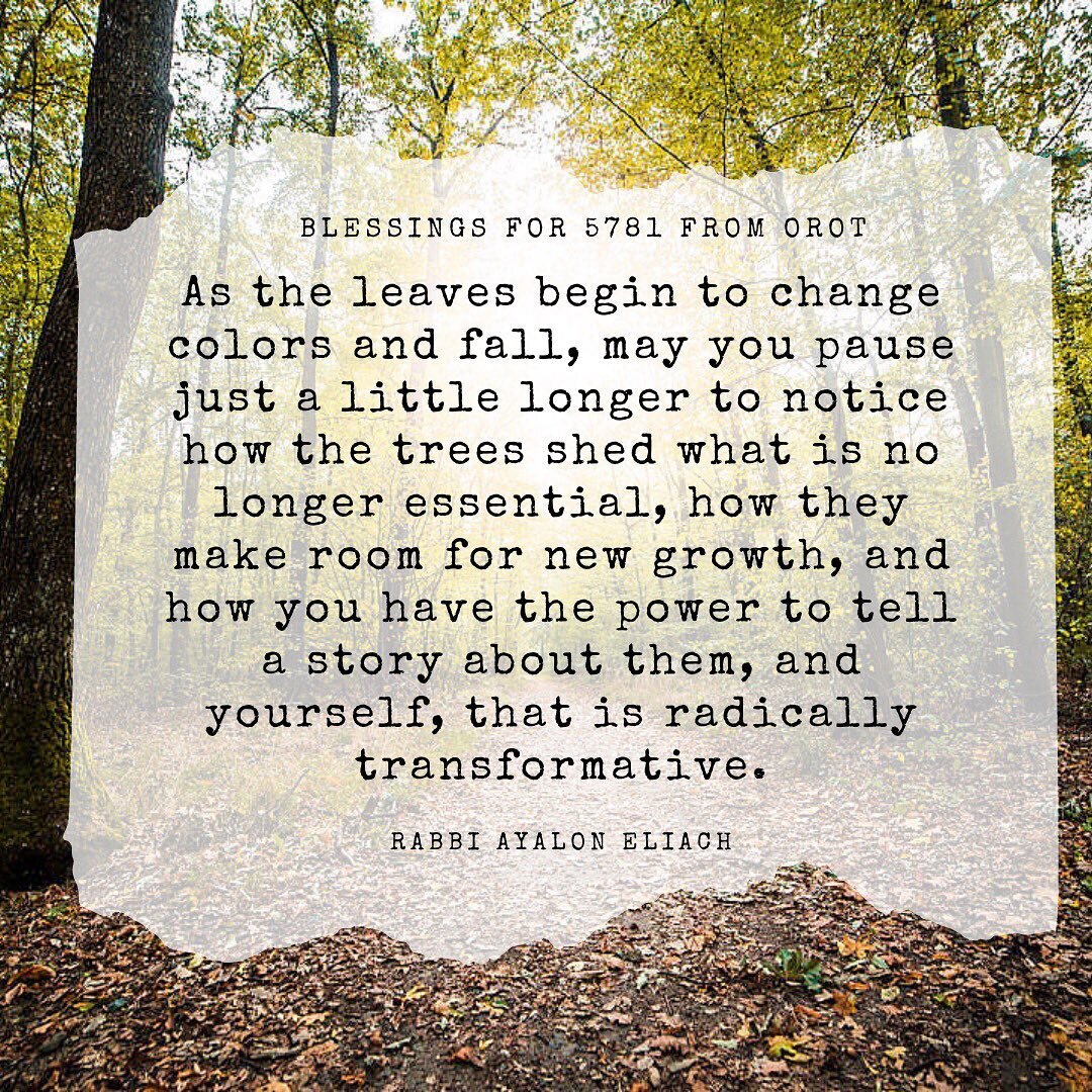 As the leaves begin to change colors and fall, may you pause just a little longer to notice how the trees shed what is no longer essential, how they make room for new growth, and how you have the power to tell a story about them, and yourself, that i