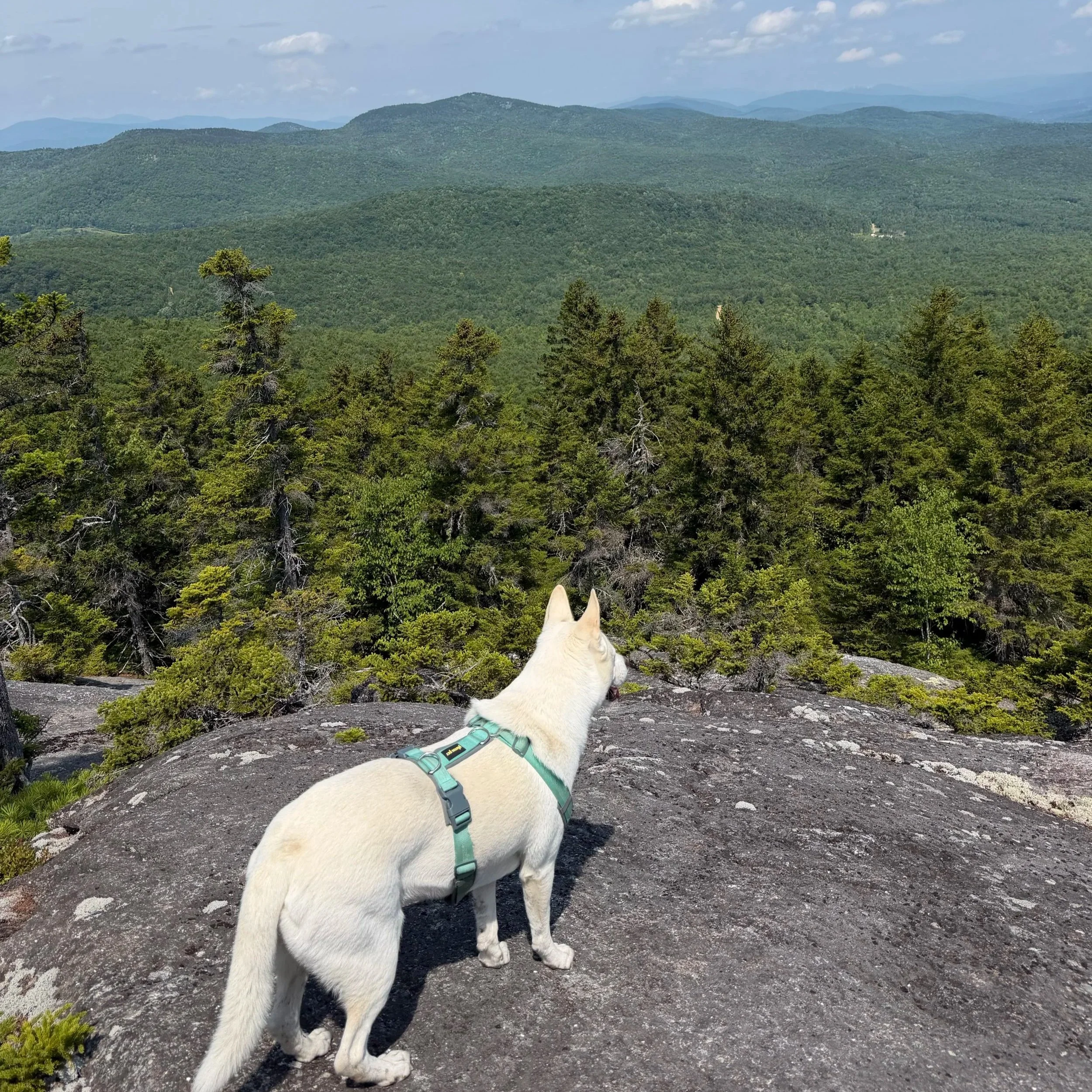 Bald Mountain Maine