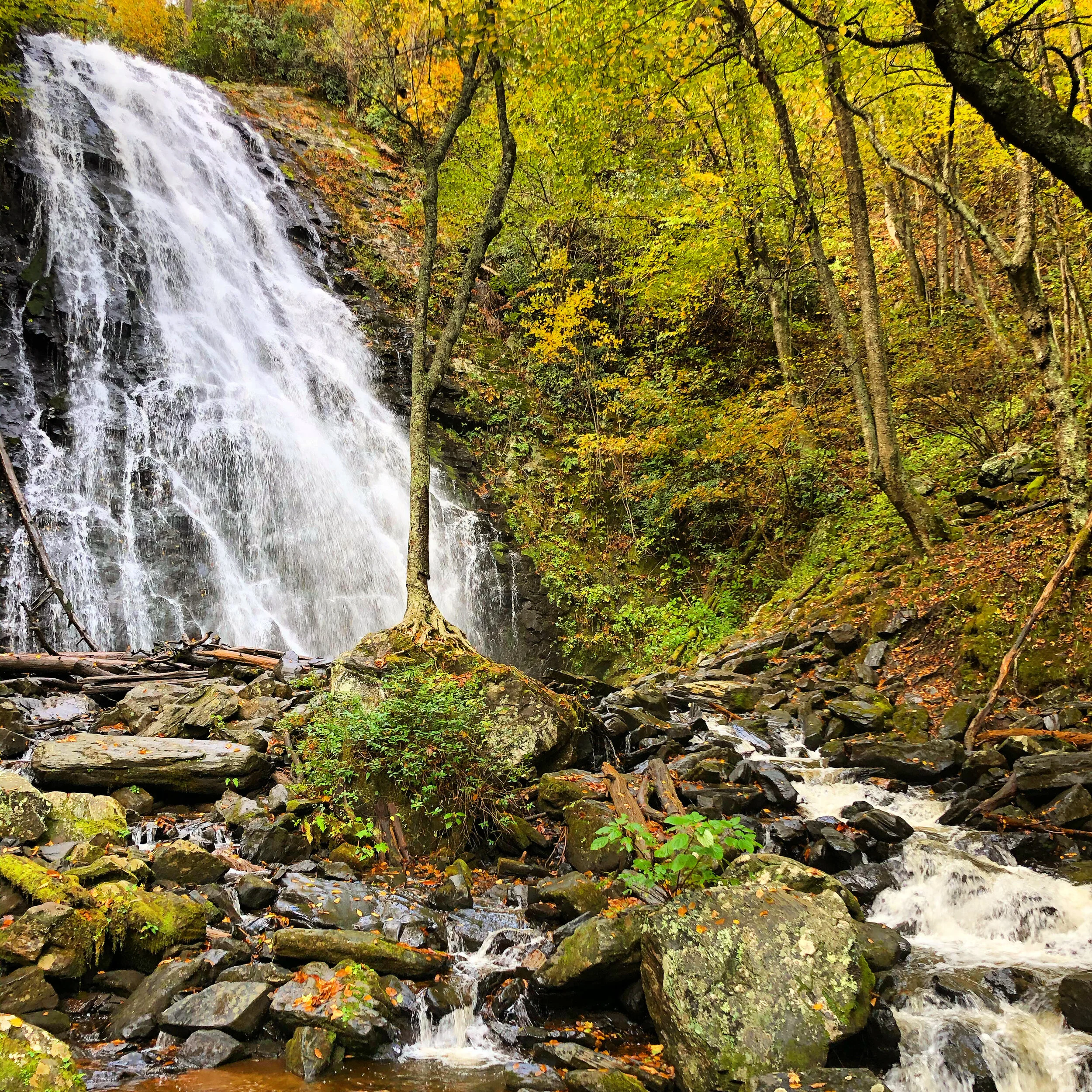 The Best Hikes Near Charlotte
