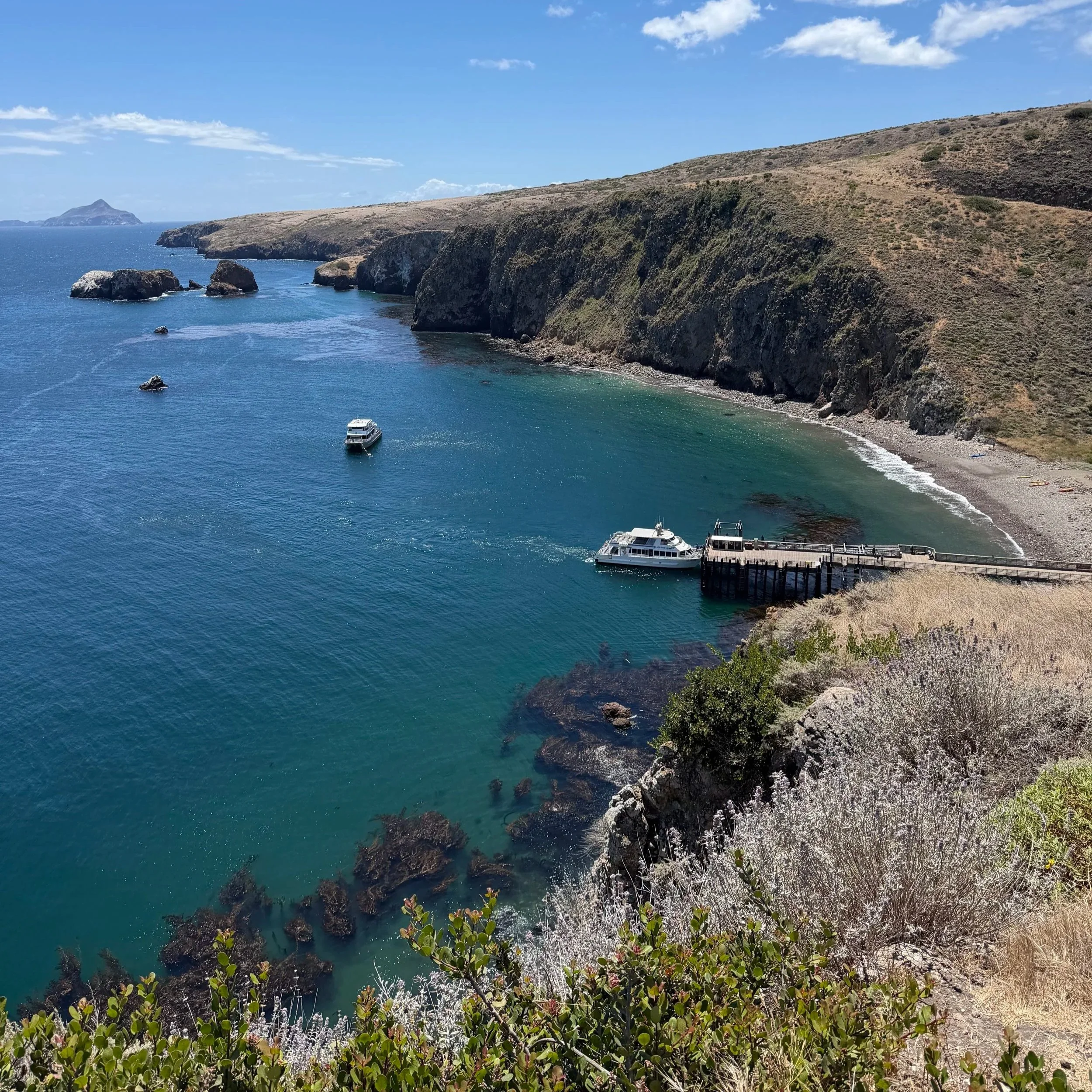 Channel Islands National Park
