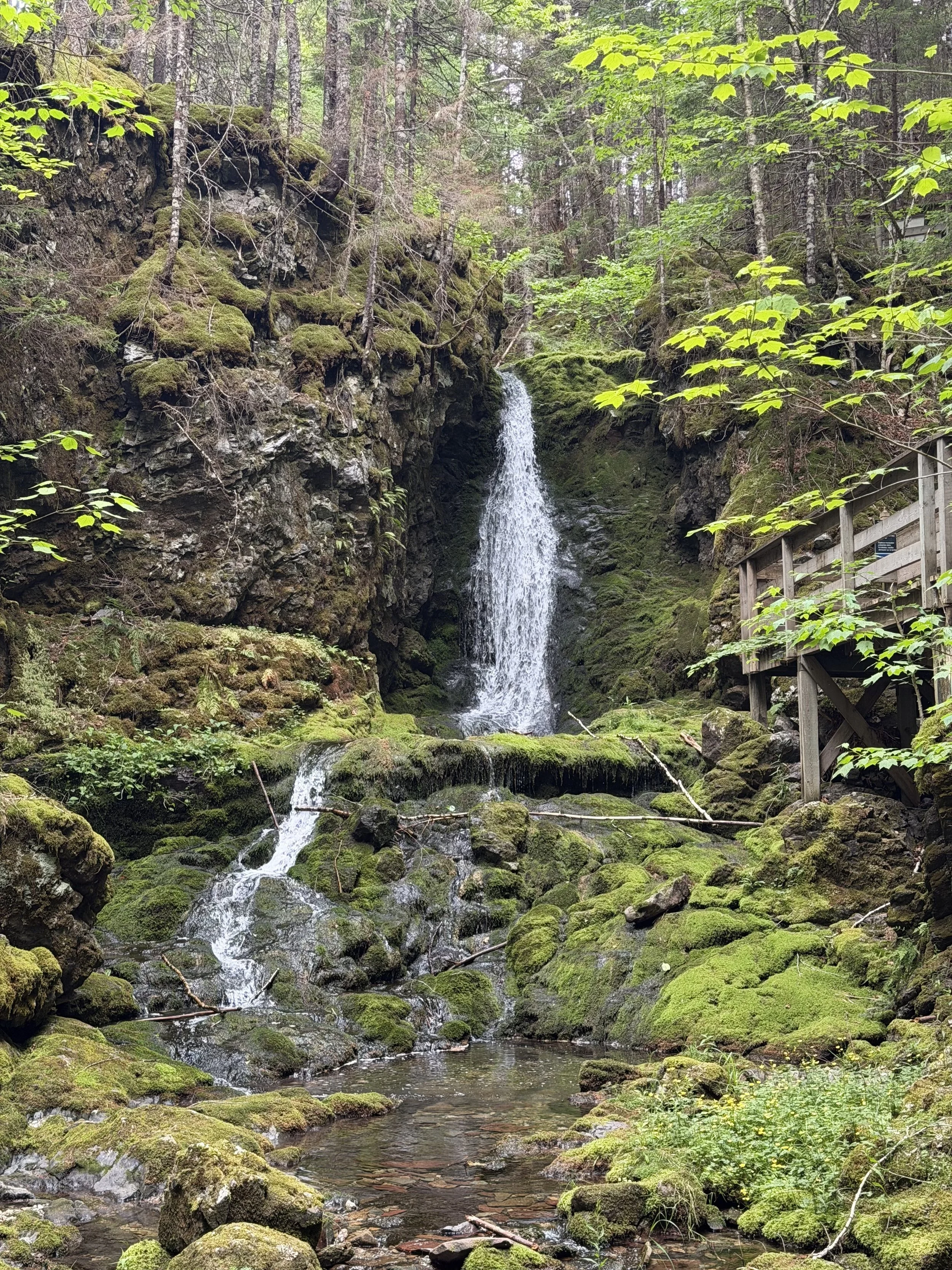 New Brunswick