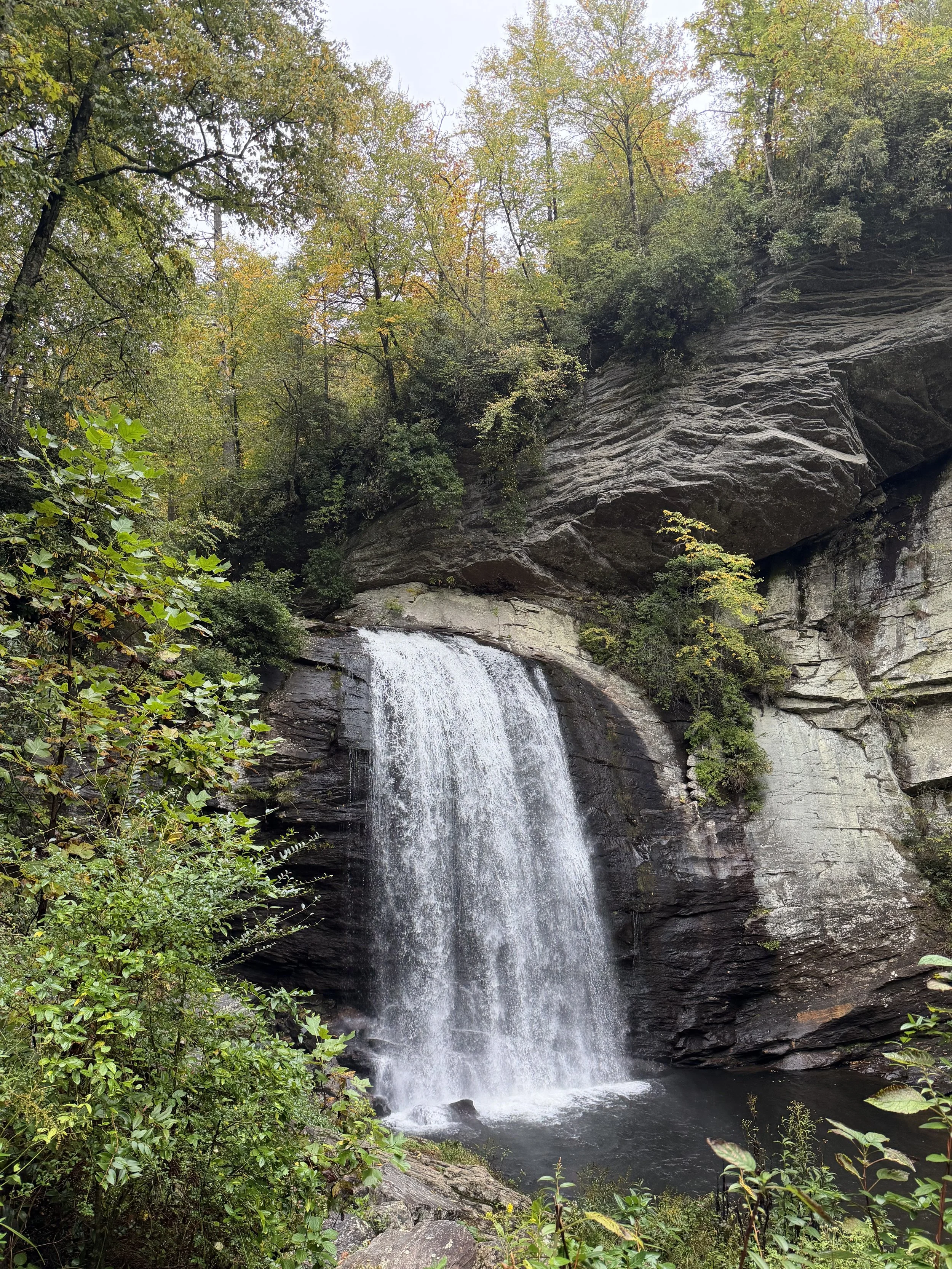A Weekend in Brevard, NC
