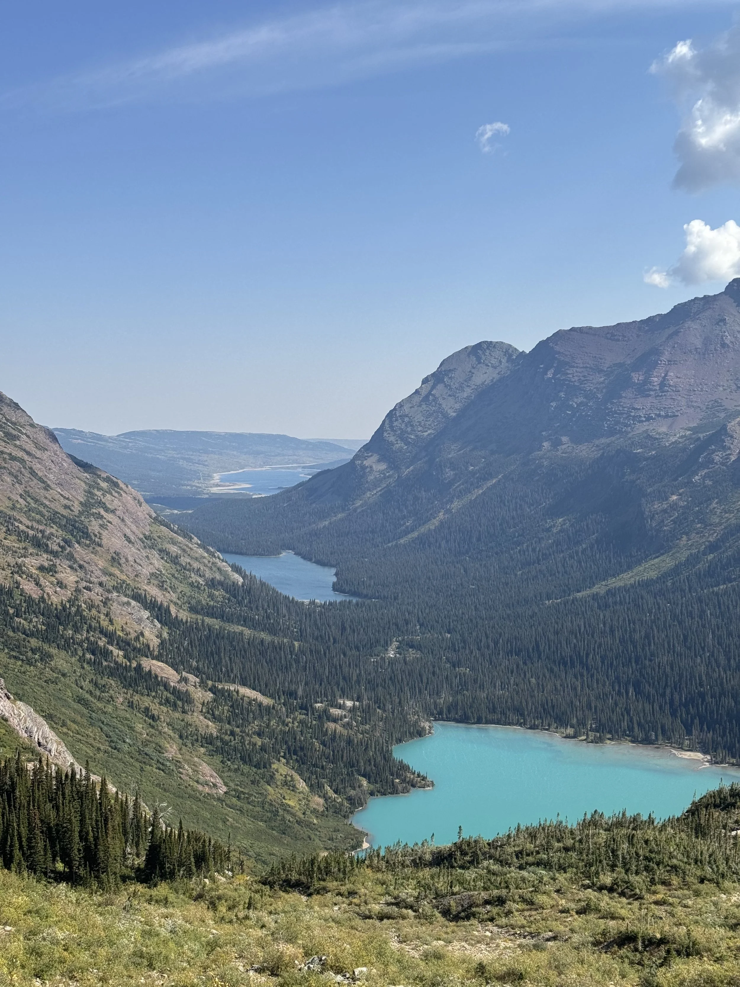 Montana