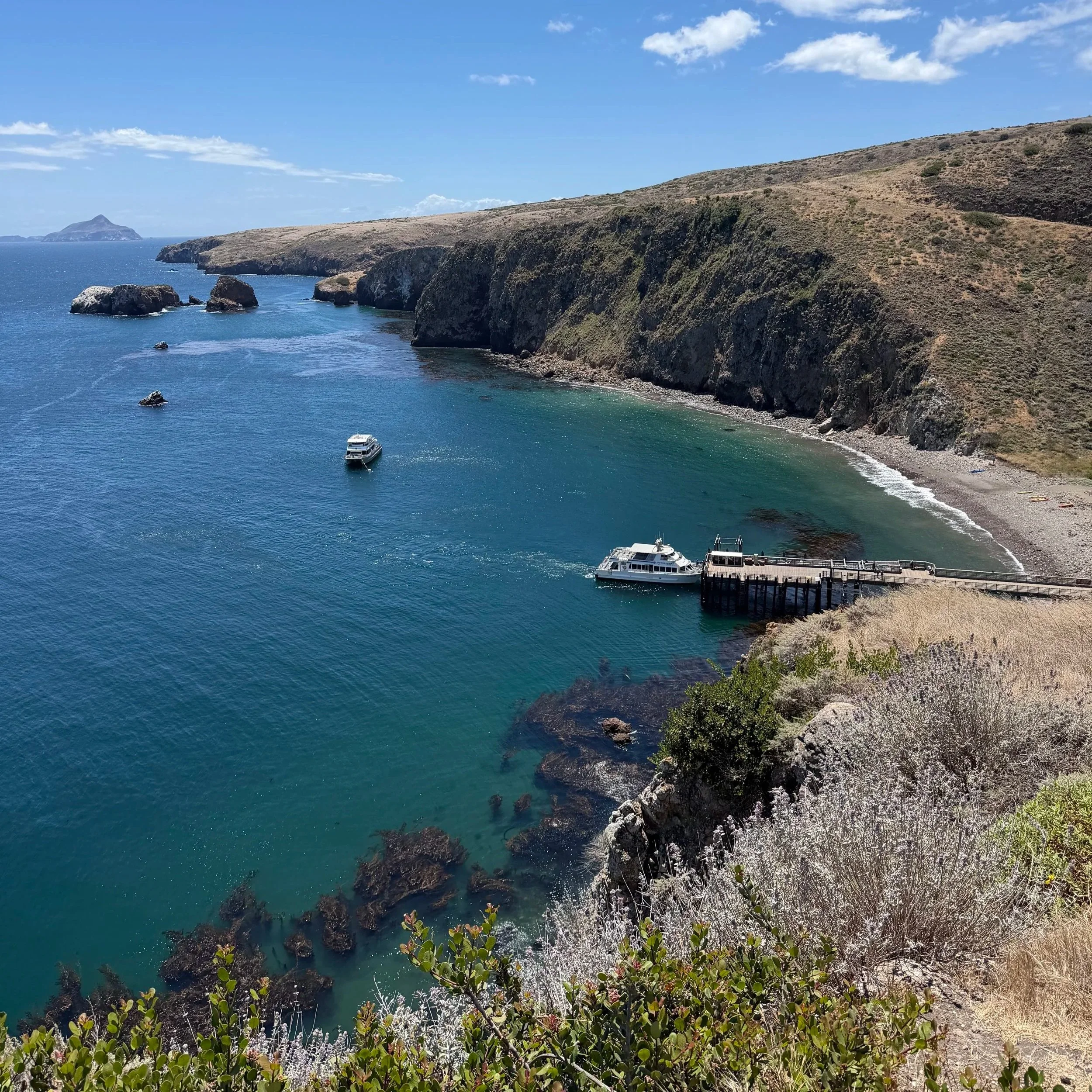 Channel Islands National Park