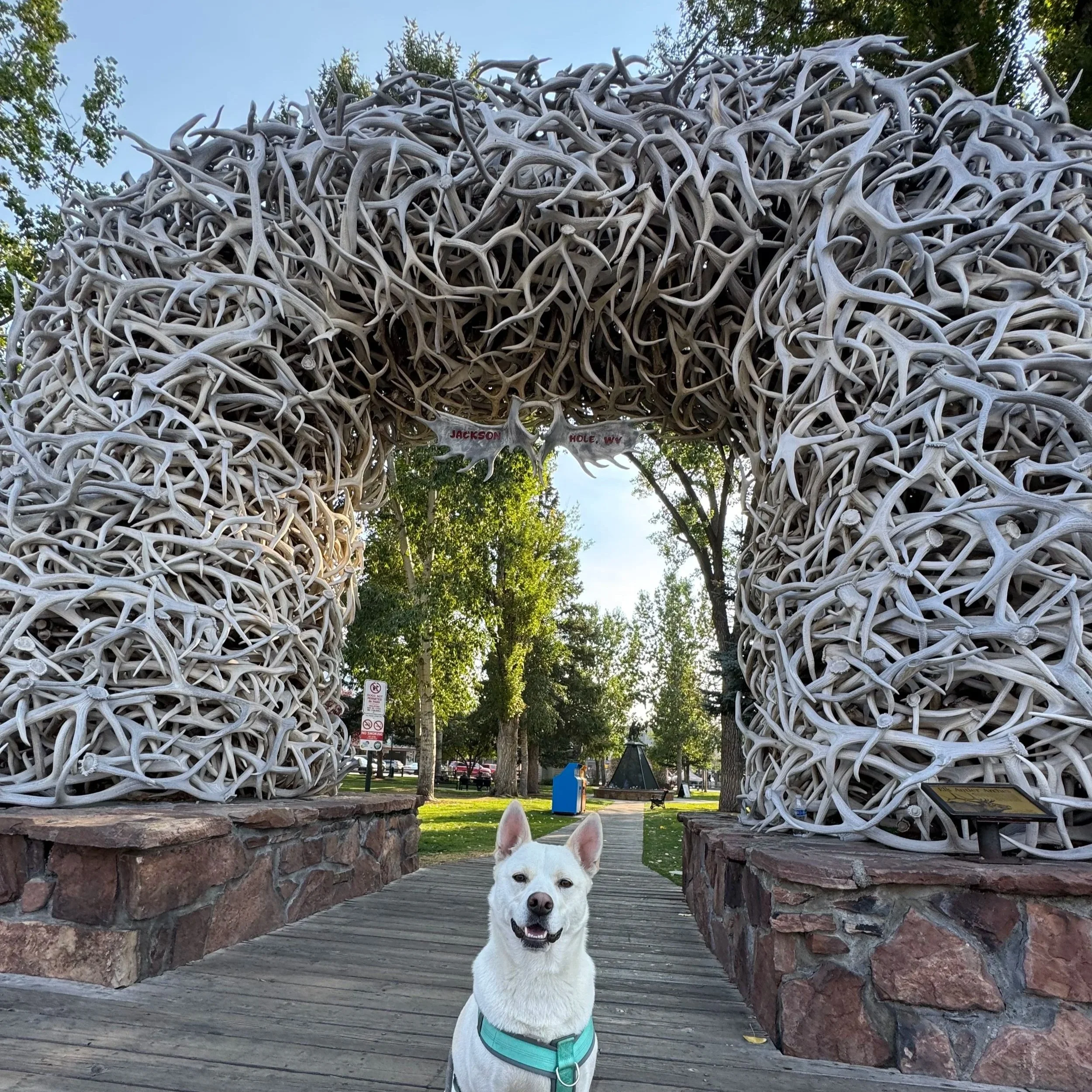 Jackson, WY town square
