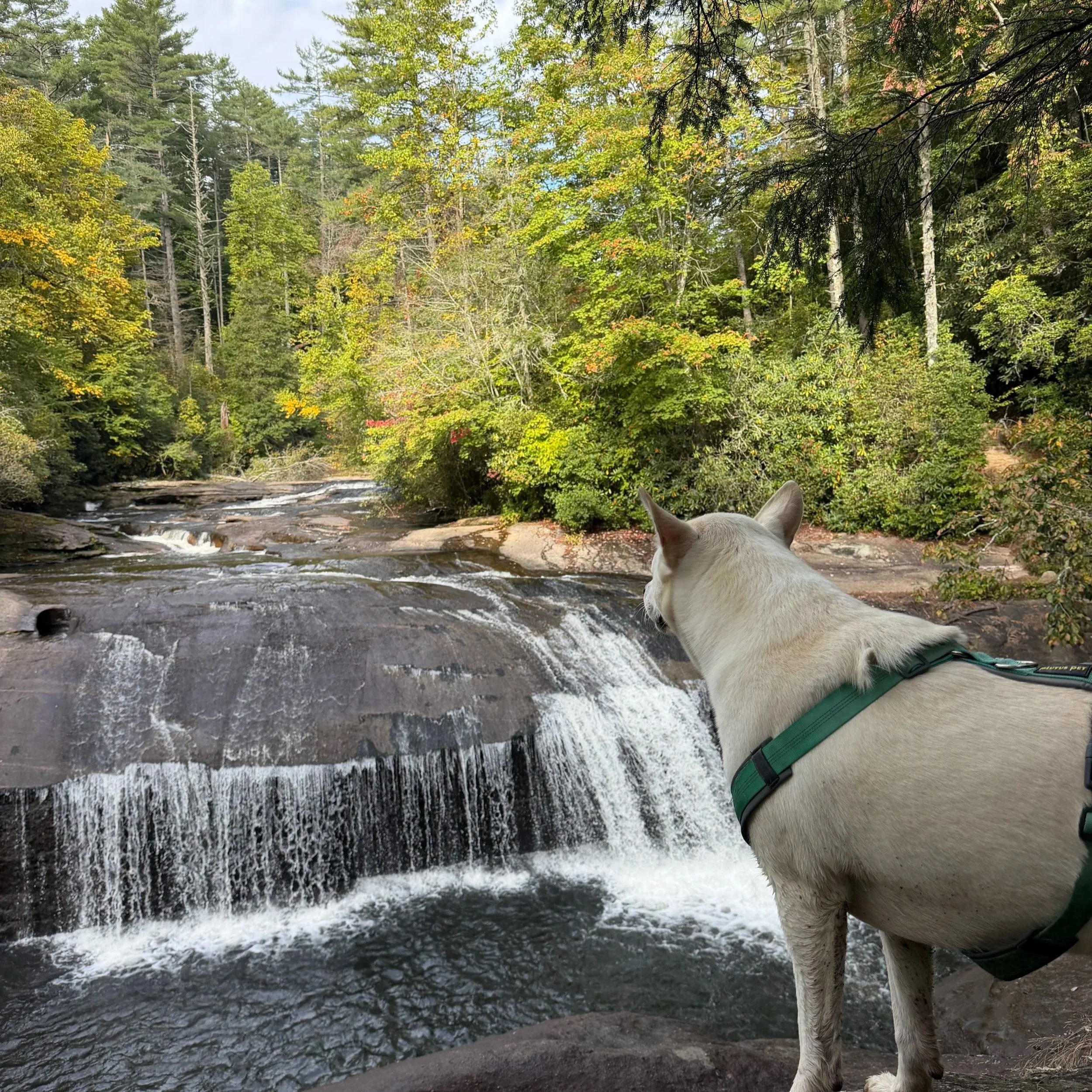 Turtleback Falls