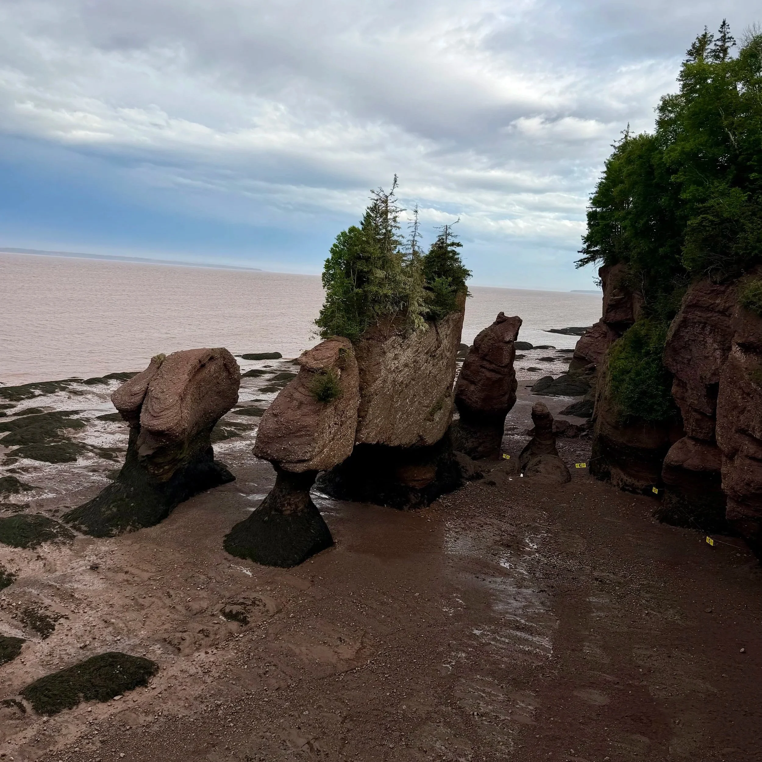 Hopewell Rocks