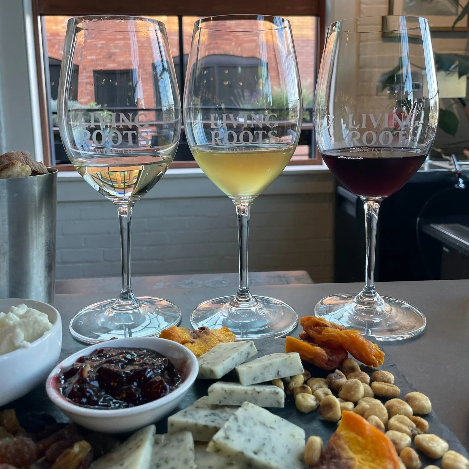 Rochester Beer and Travel Guide — Adventures & Ales