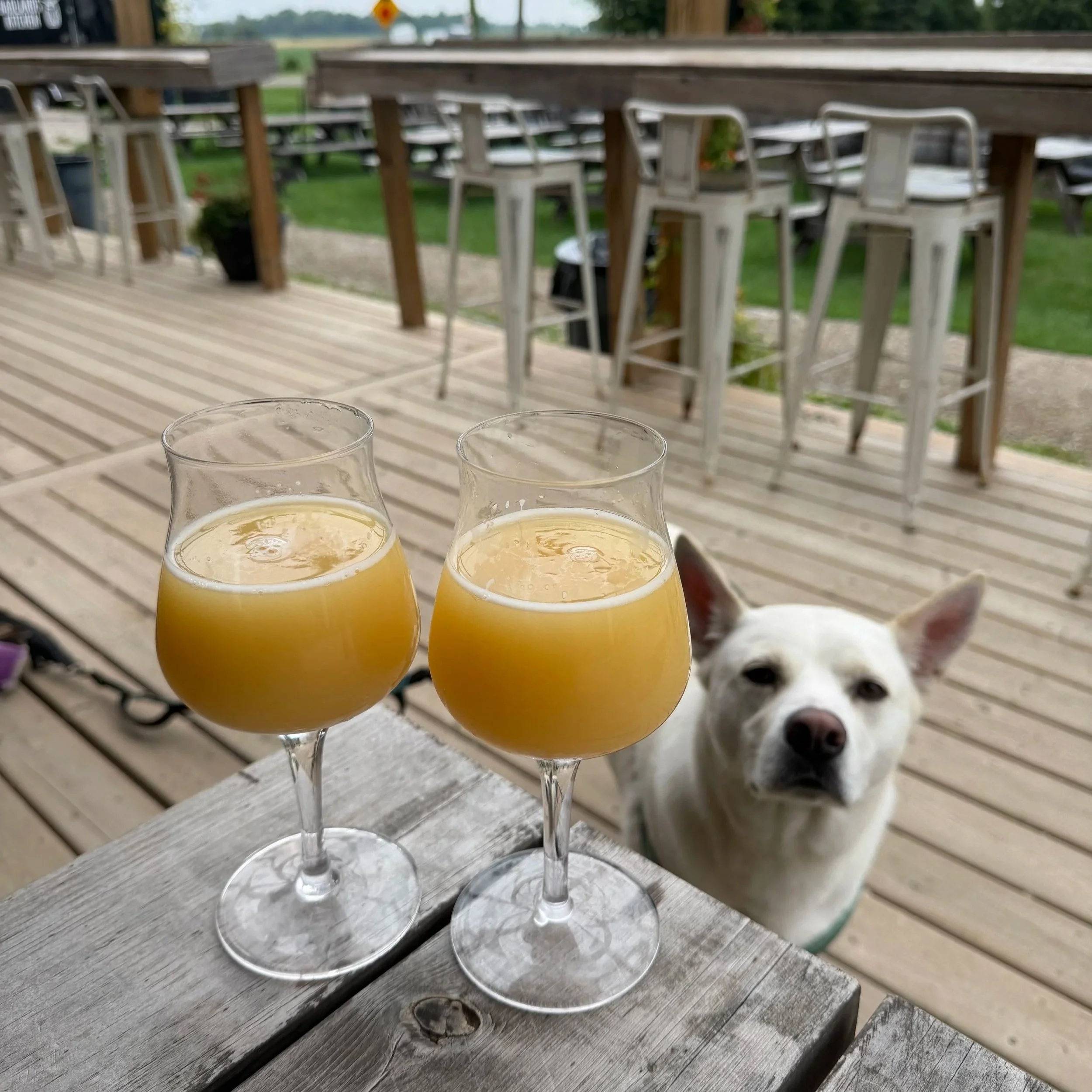 Badlands Brewing