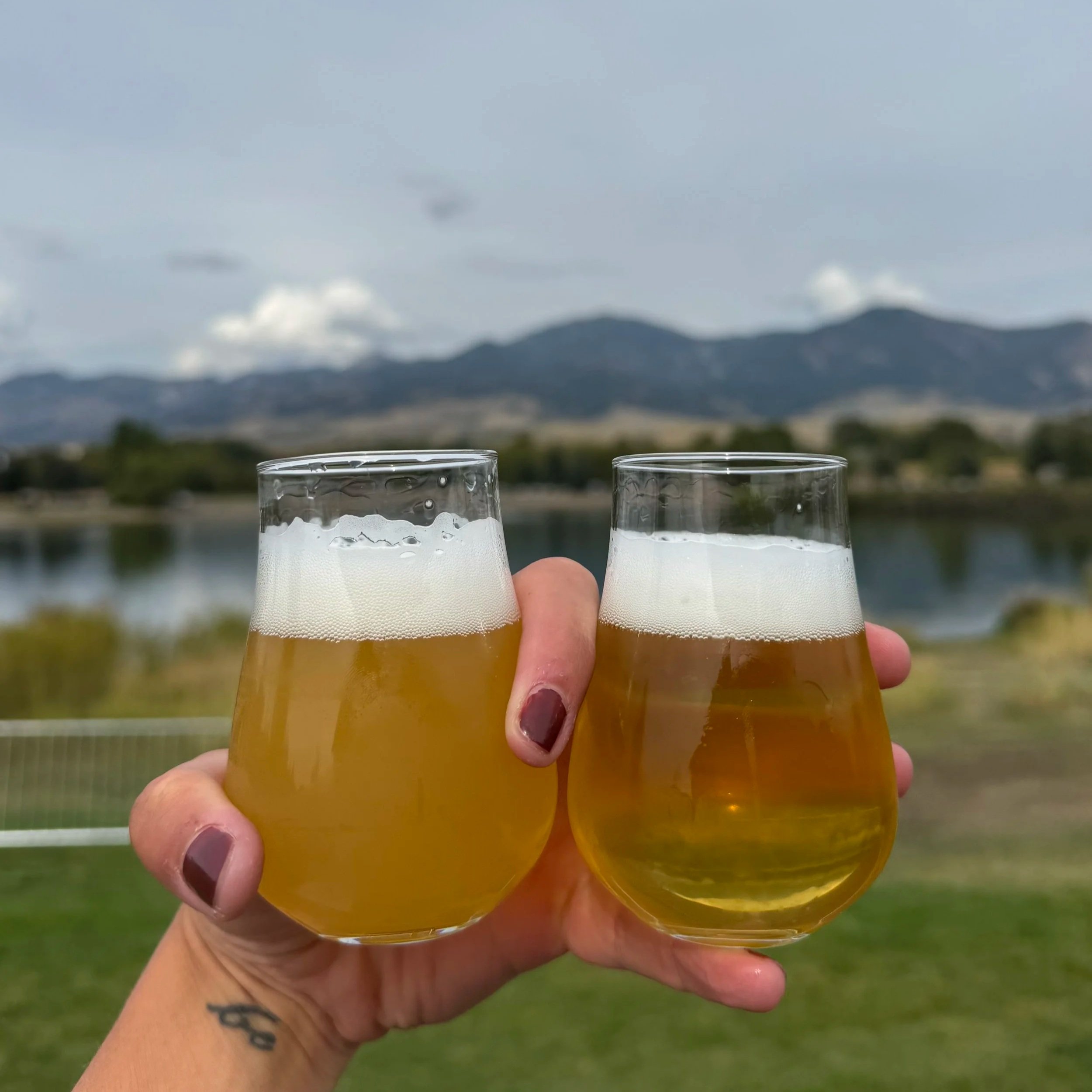 MAP Brewing