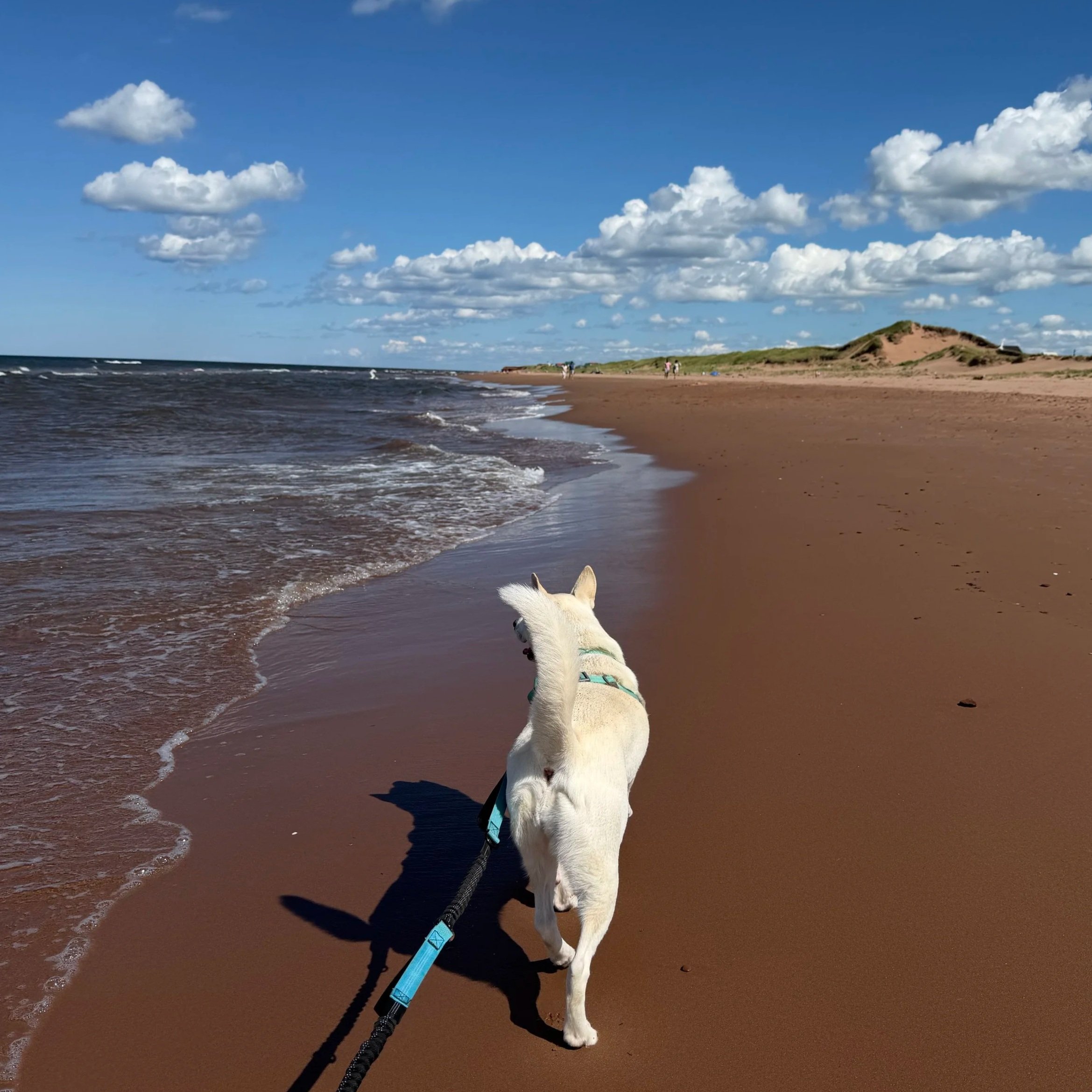 Prince Edward Island National Park