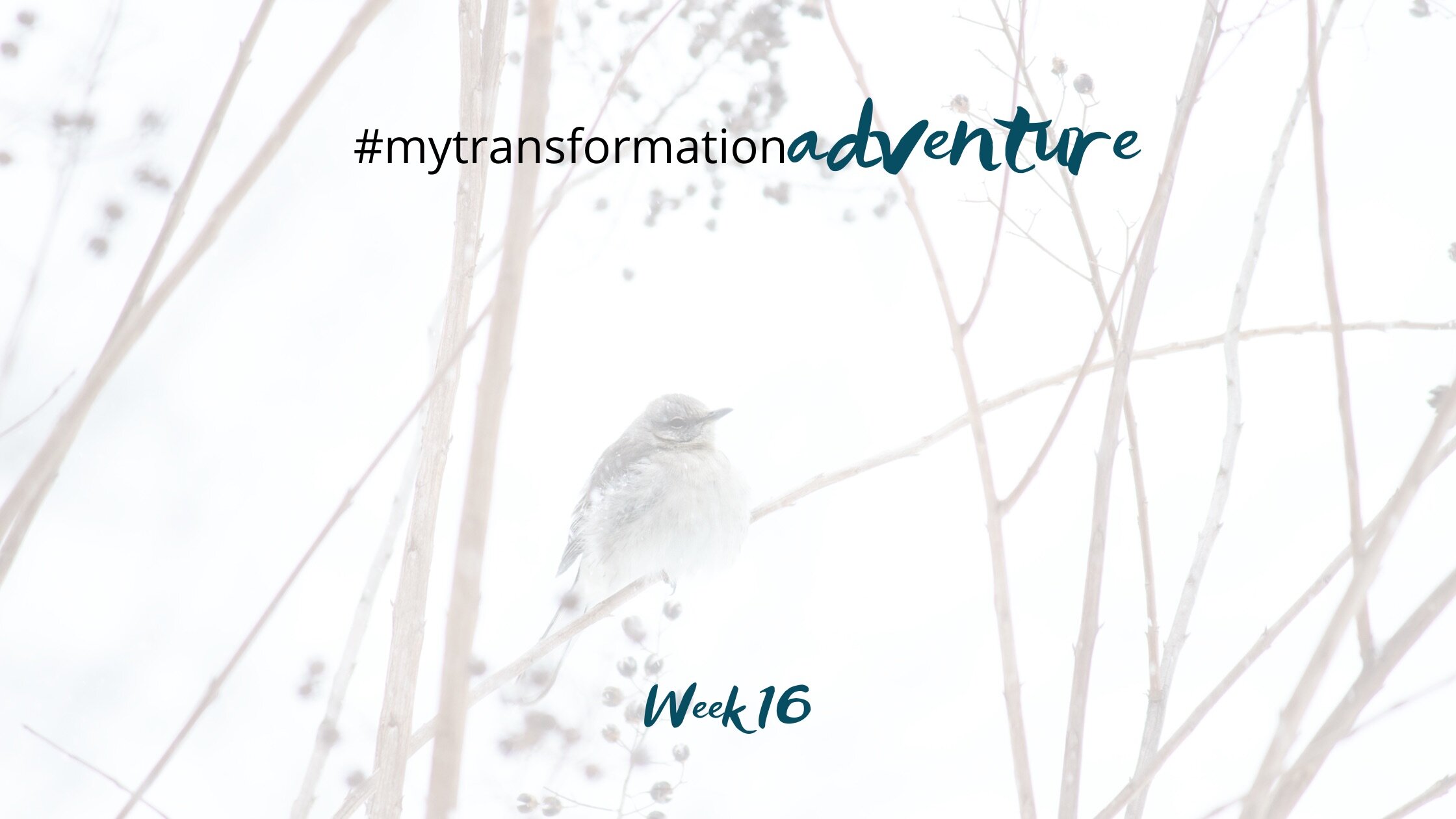 Finding Your Voice...And Hanging On To It