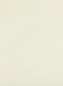 Melamine - Antique White.jpg