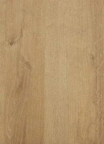 Melamine - Cannes.jpg
