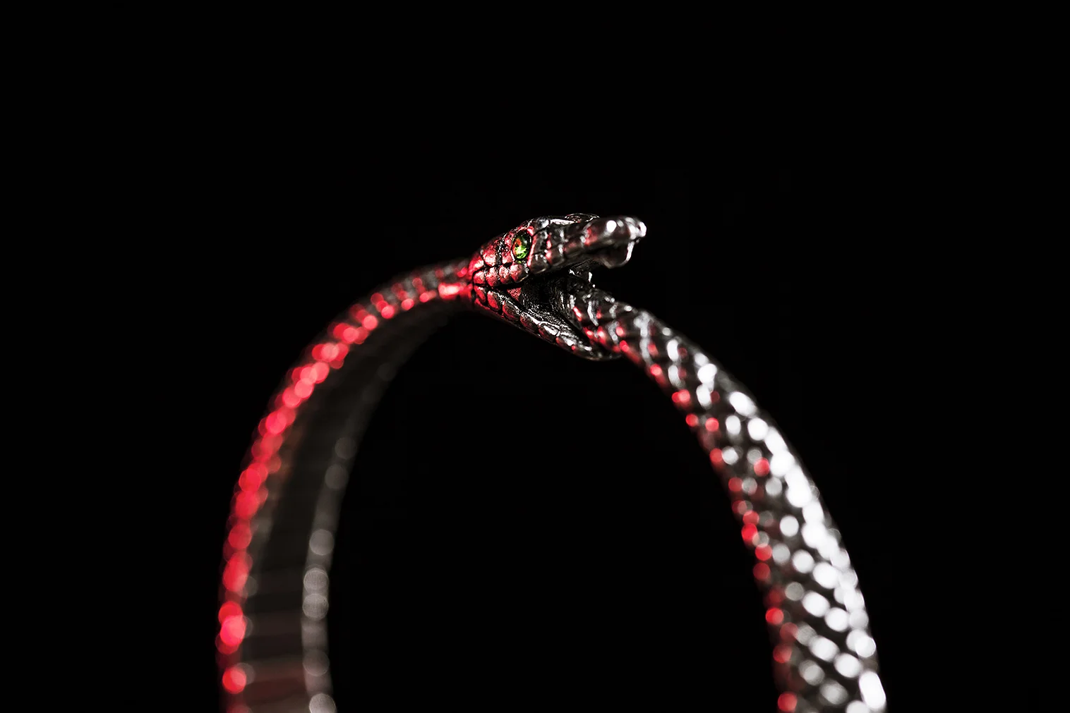 Snake2_web.jpg