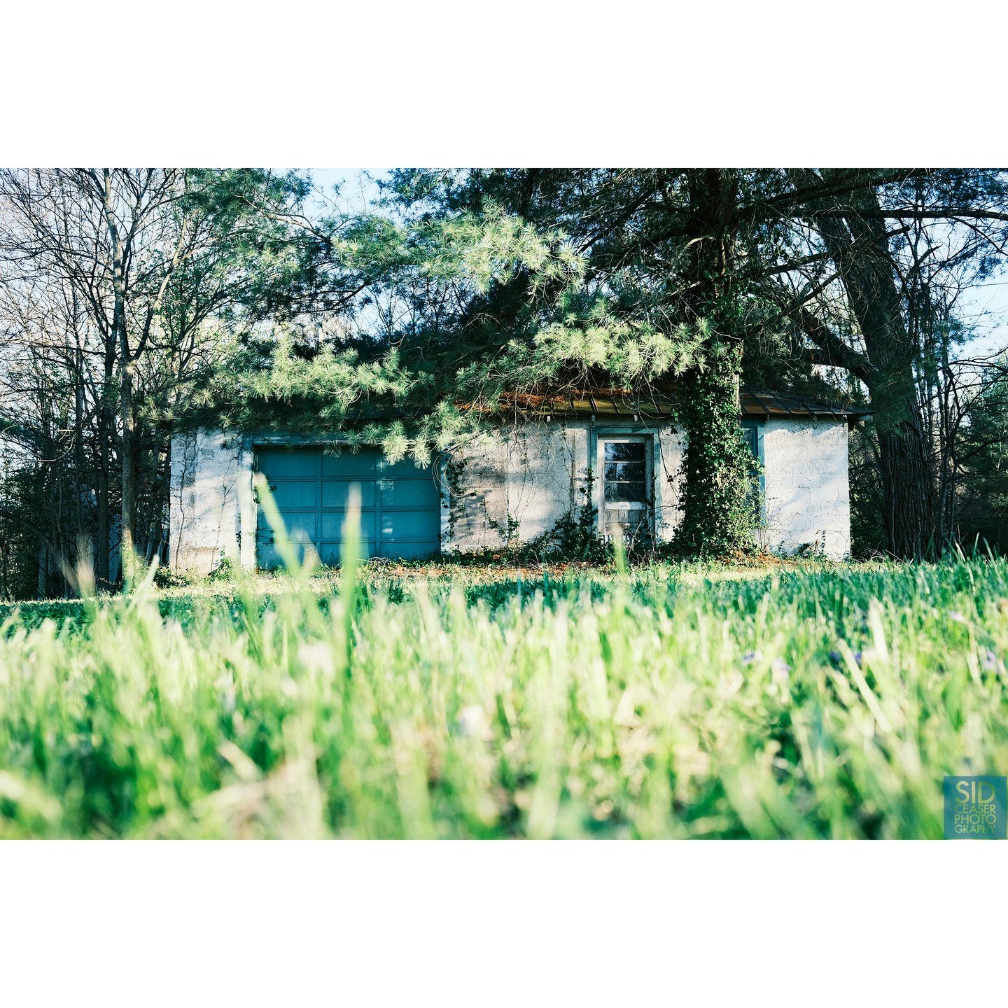 We're outside of Camelia Kentucky, driving down US-62 and we pass by this abandoned house. The overgrowth is fantastic. I hop out of the car, lay down in the grass and find my composition. Just as I get up, I see a light turn on inside the house.

Lo