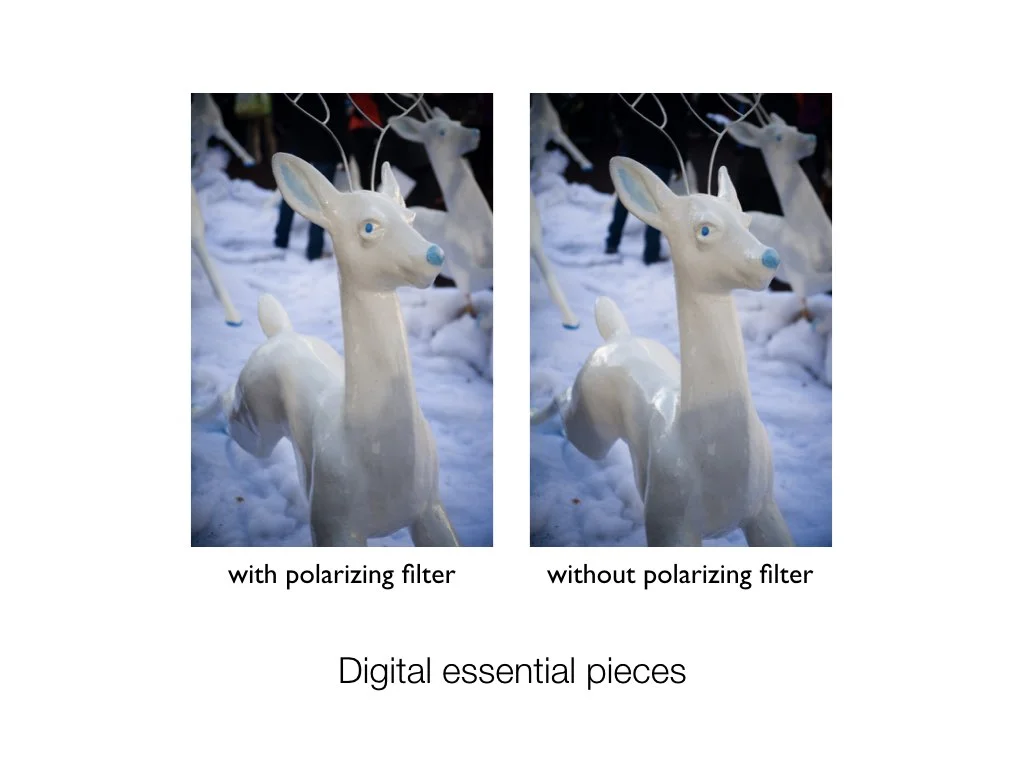 intro_to_photo_may_2019.005.jpeg