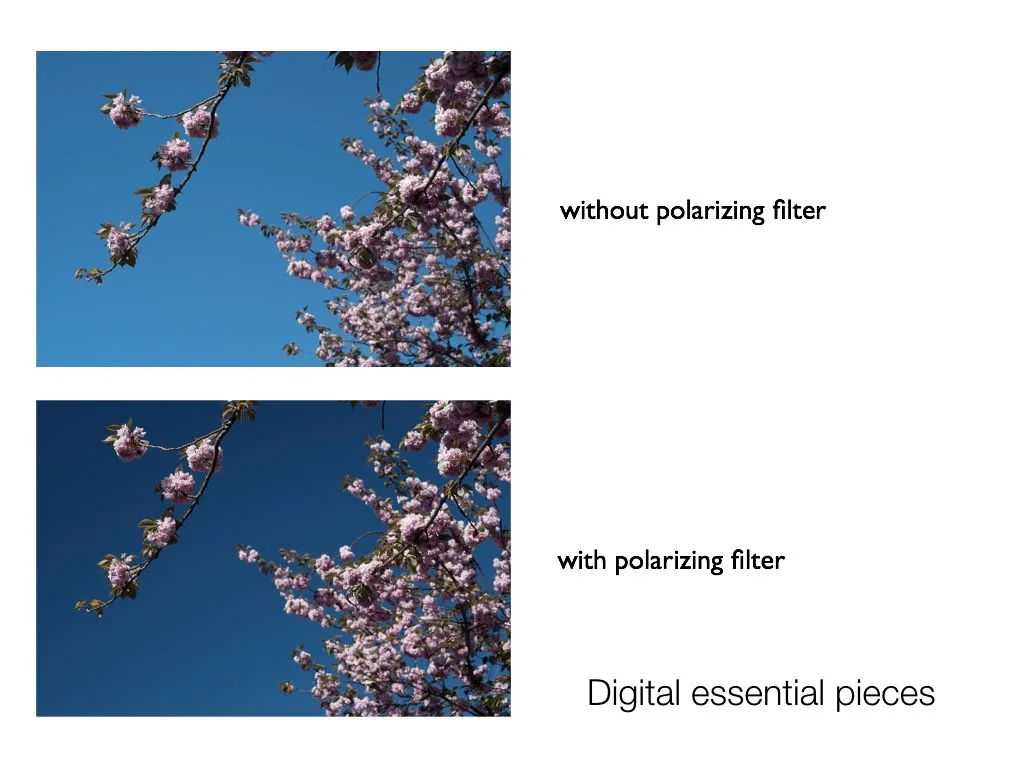 intro_to_photo_may_2019.006.jpeg