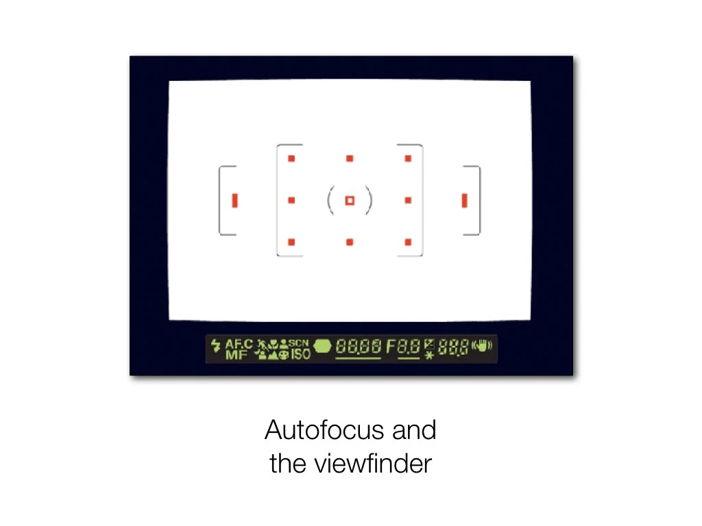 intro_to_photo_may_2019.008.jpeg